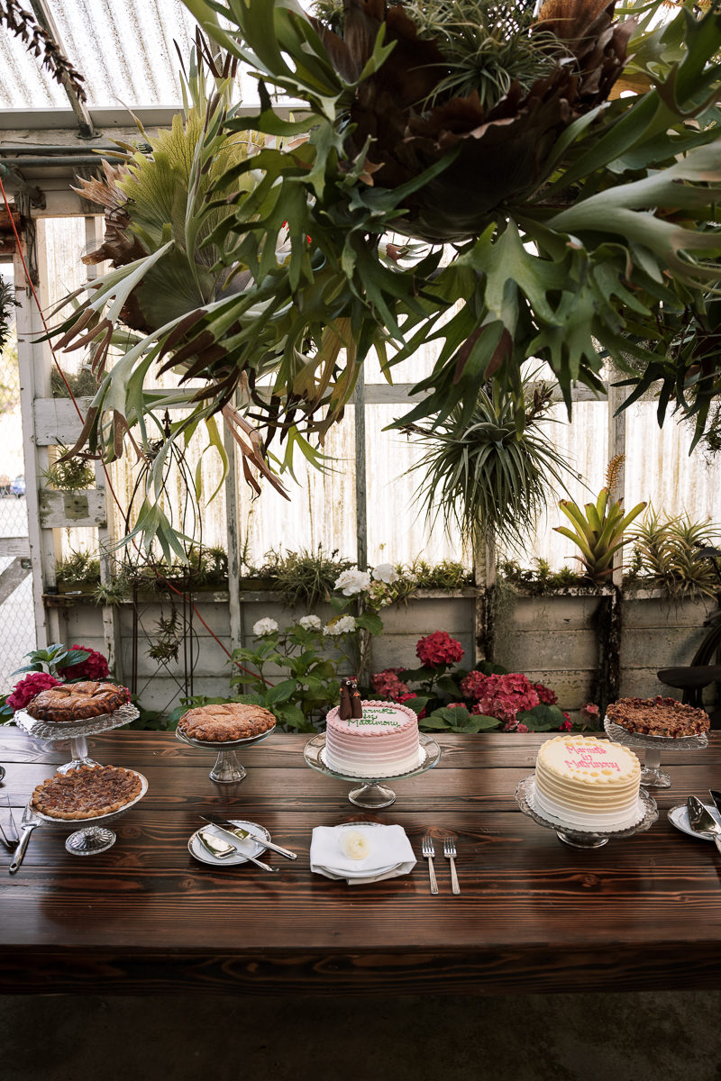 Pacifica-shelldance-orchid-gardens-summer-wedding-151