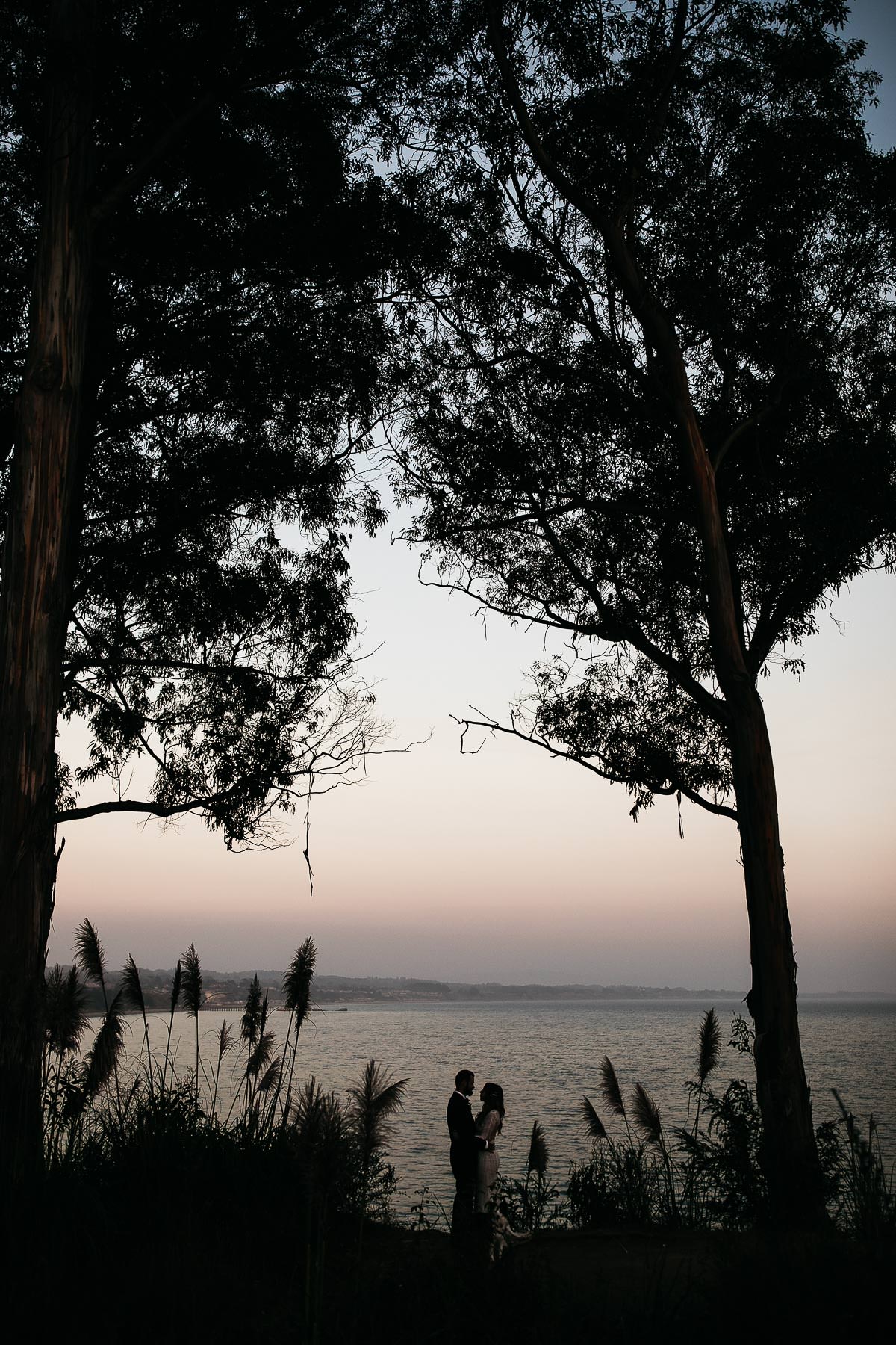 nestldown-micro-wedding-elopement-santa-cruz-sunset-123