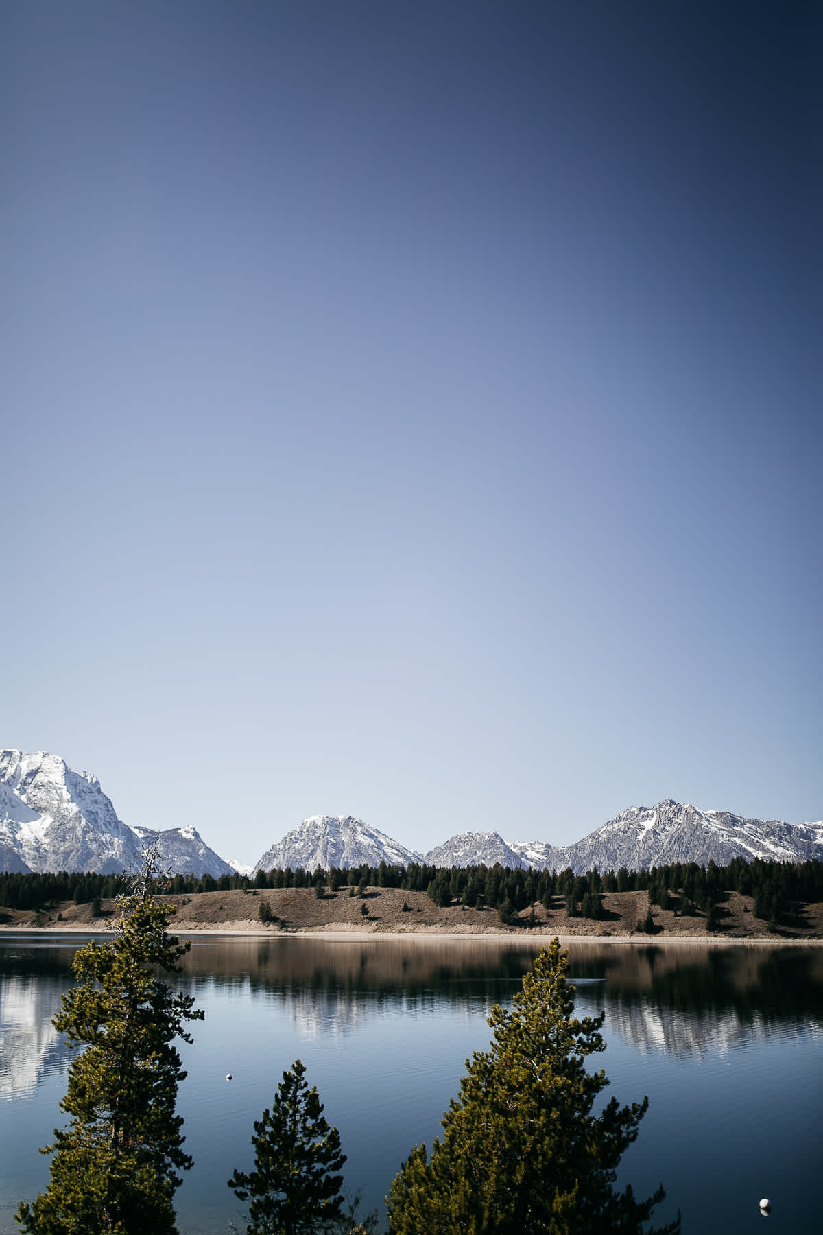 grand-teton-national-park-wyoming-elopement-1