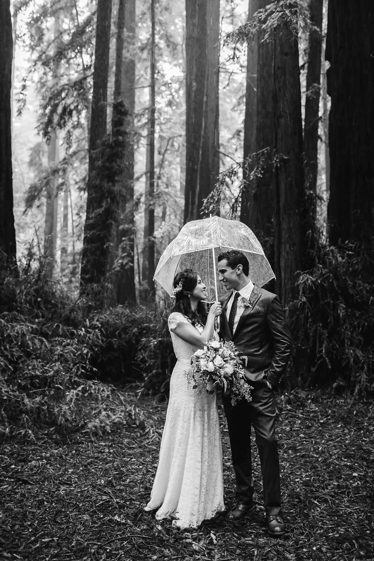 santa-cruz-redwoods-henry-cowell-rainy-elopement-photographer-42