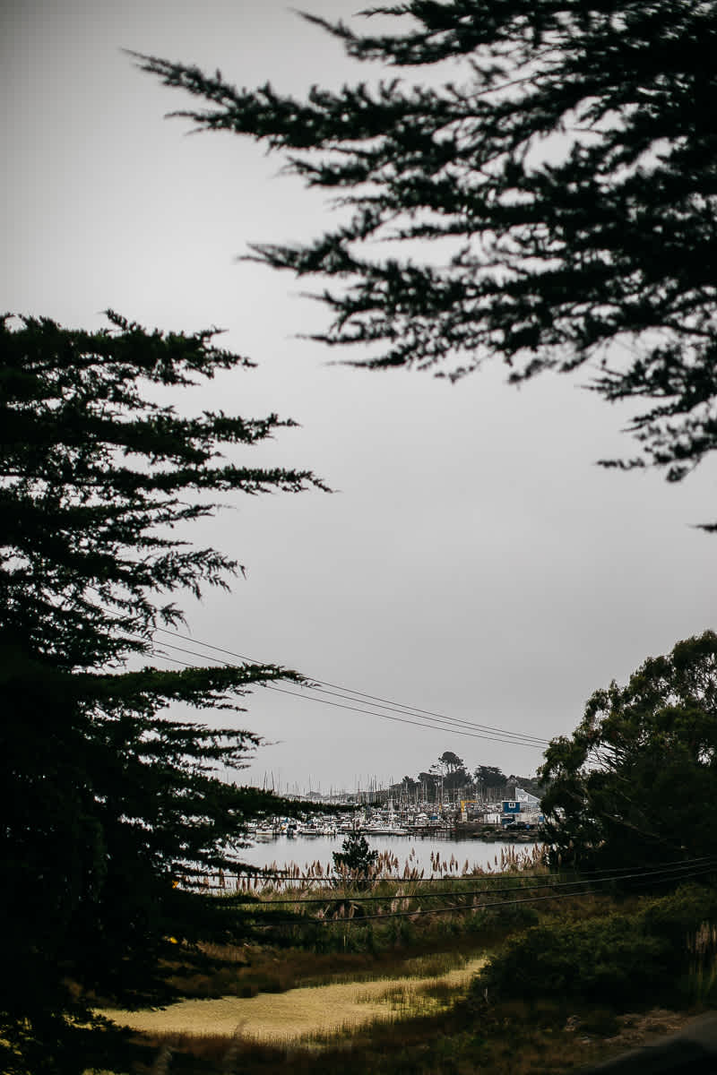 bodega-bay-secret-garden-gloomy-fall-wedding-35