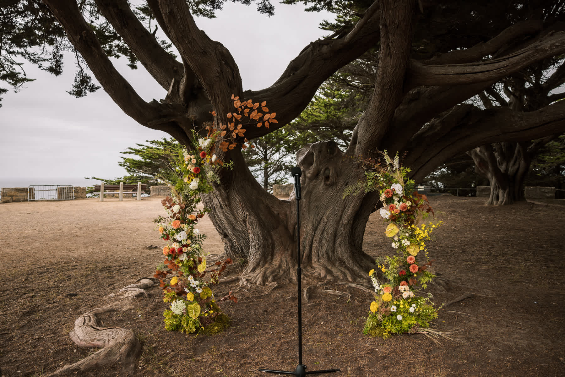 san-francisco-presidio-urban-wedding-trolley-ride-83