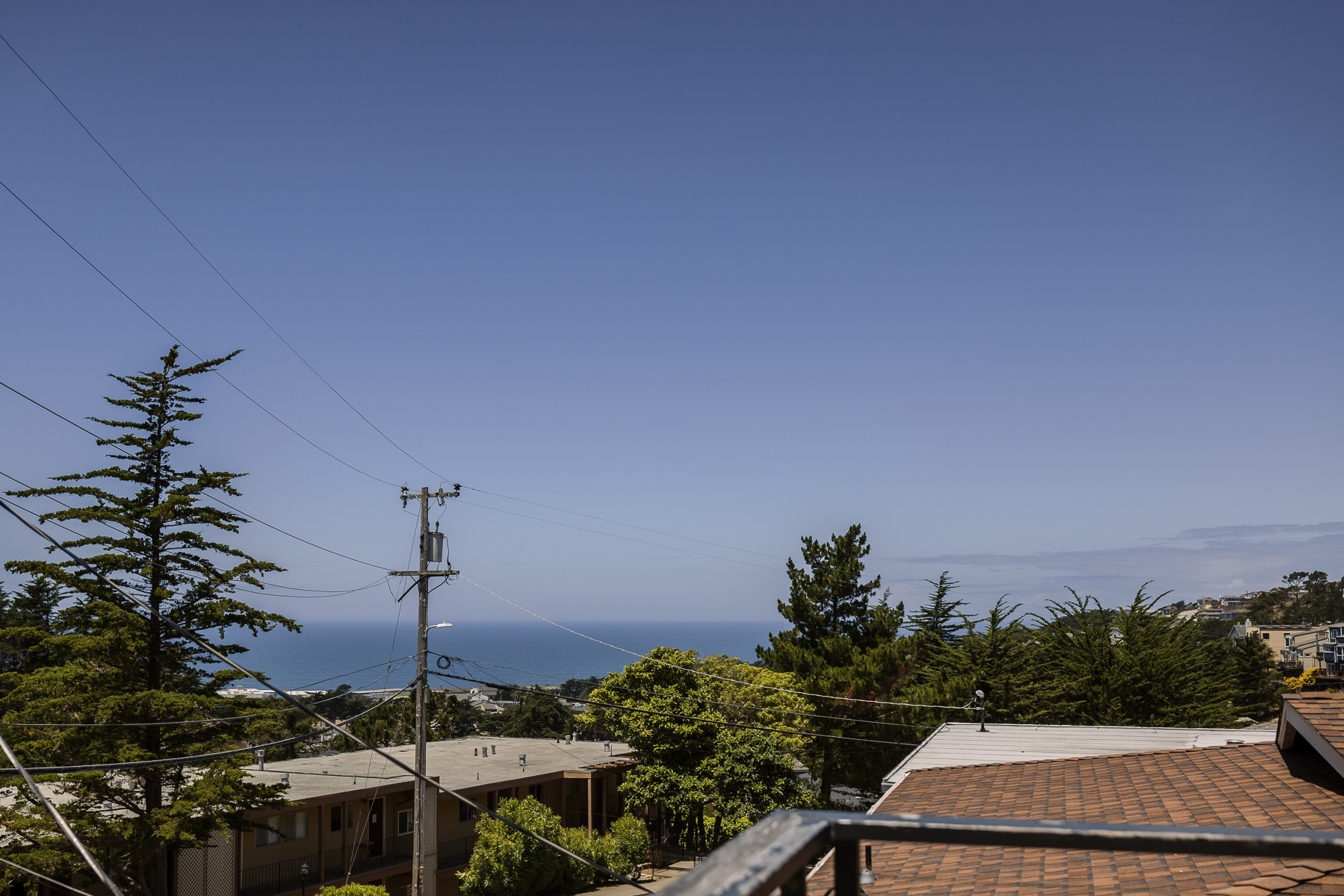 Pacifica-shelldance-orchid-gardens-summer-wedding-1