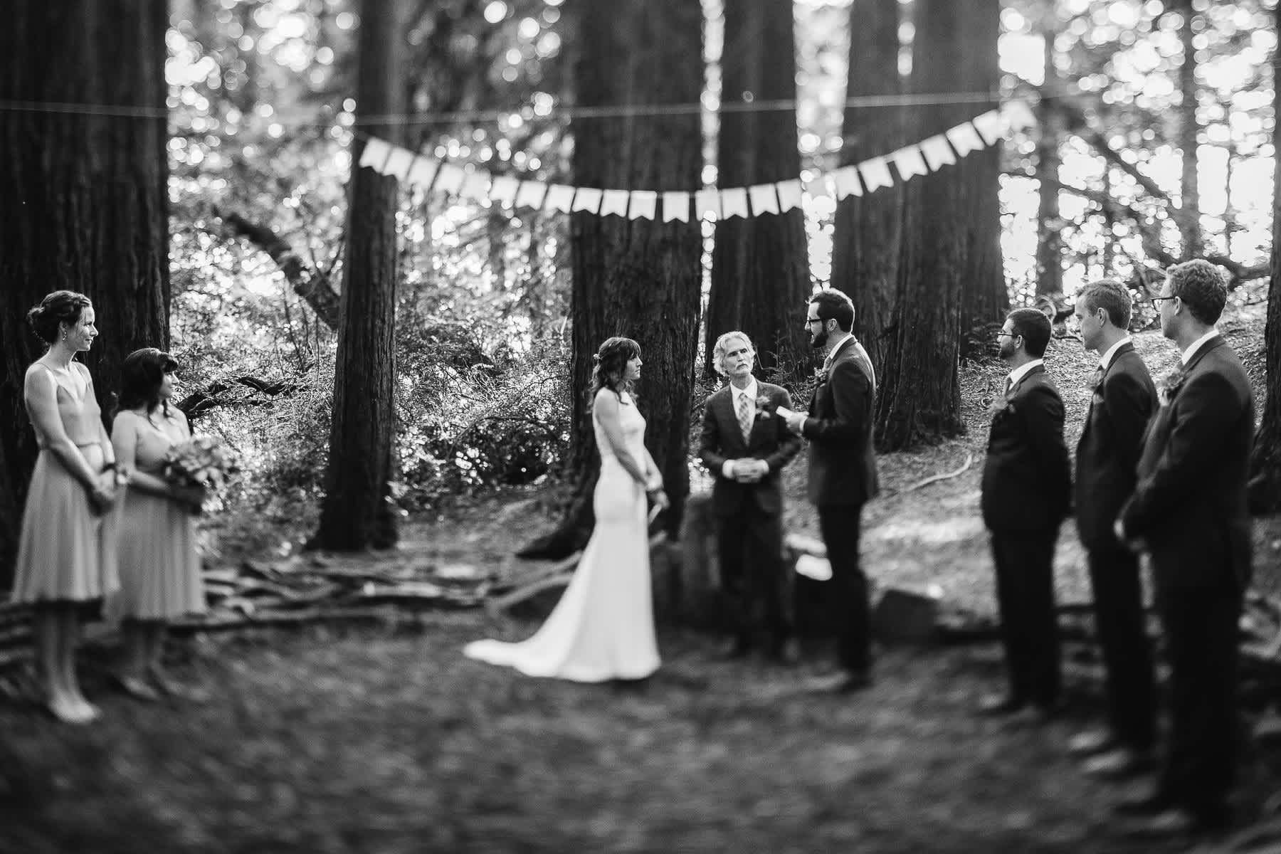 oakland-redwoods-summer-wedding-53