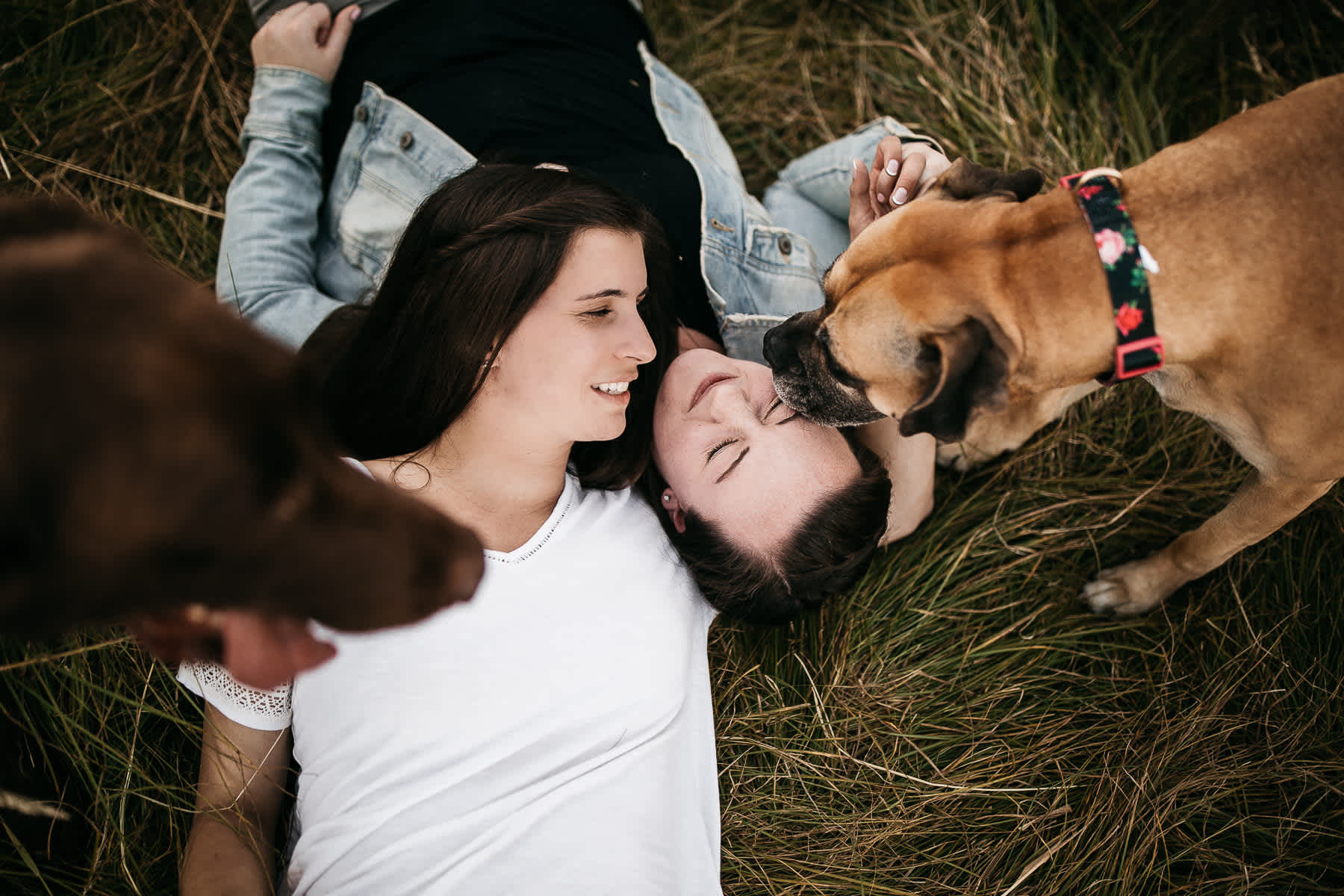 mt-tam-sunset-engagement-session-with-boxer-lab-dogs-13