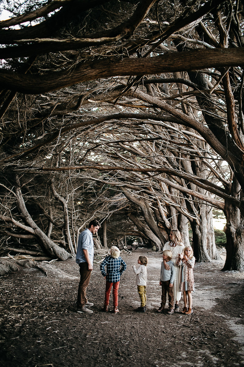 half-moon-bay-golden-cliffside-family-session-29