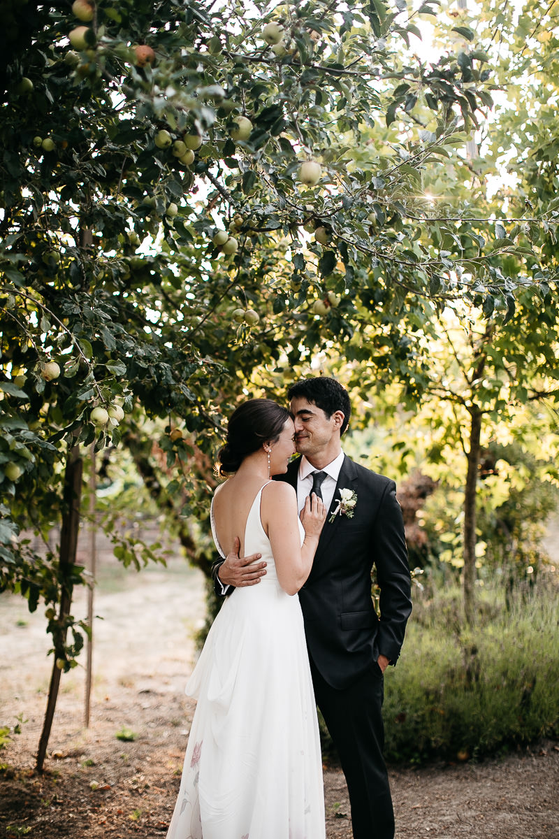 sebastopol-ca-summer-wedding-106