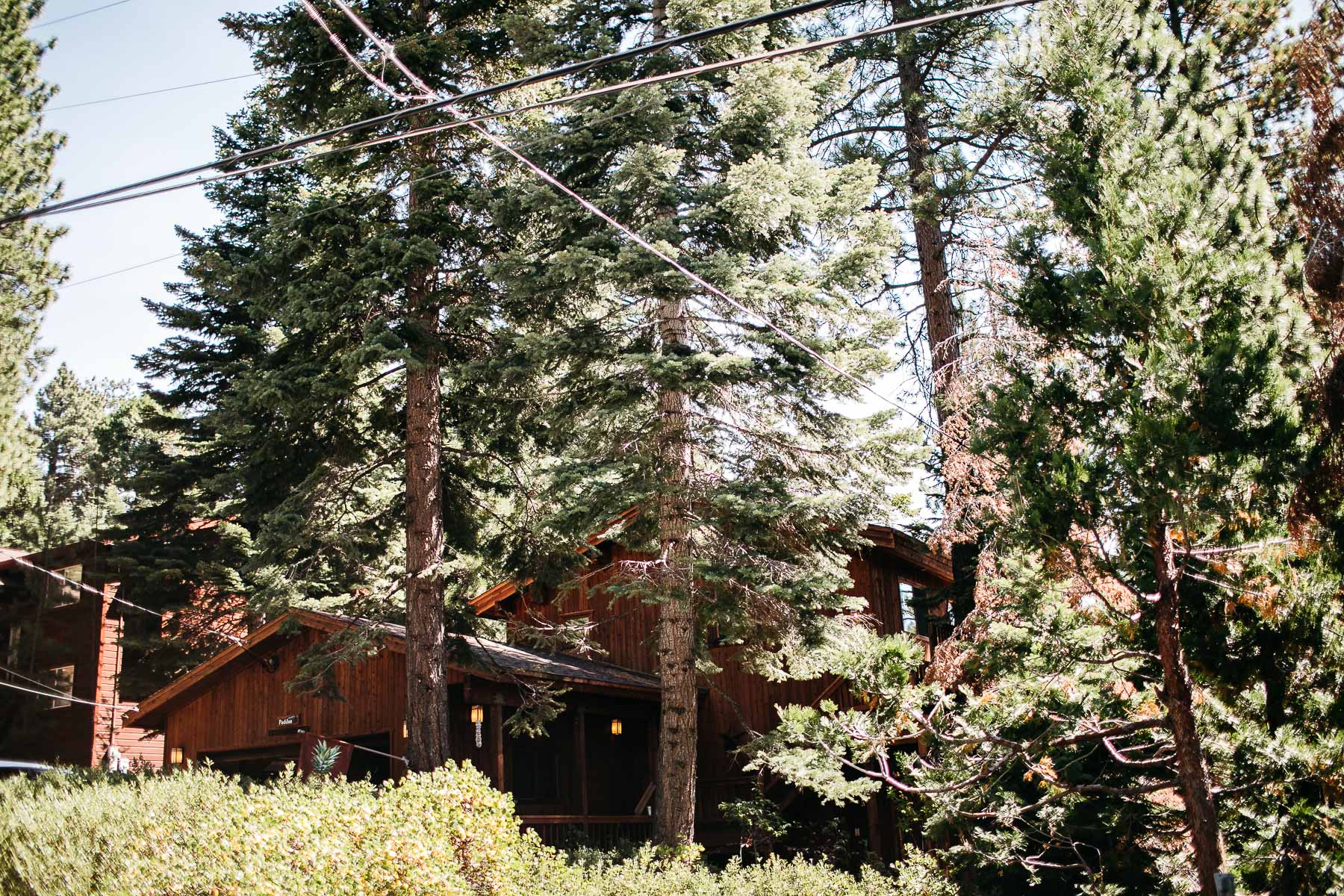 zephyr-lodge-summer-mountain-top-wedding-1