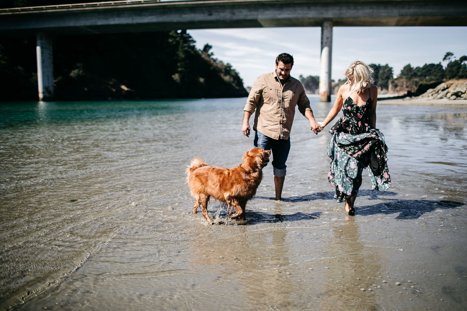 mendocino-grove-ca-glamping-waterside-anniversary-session-golden-retriever-36