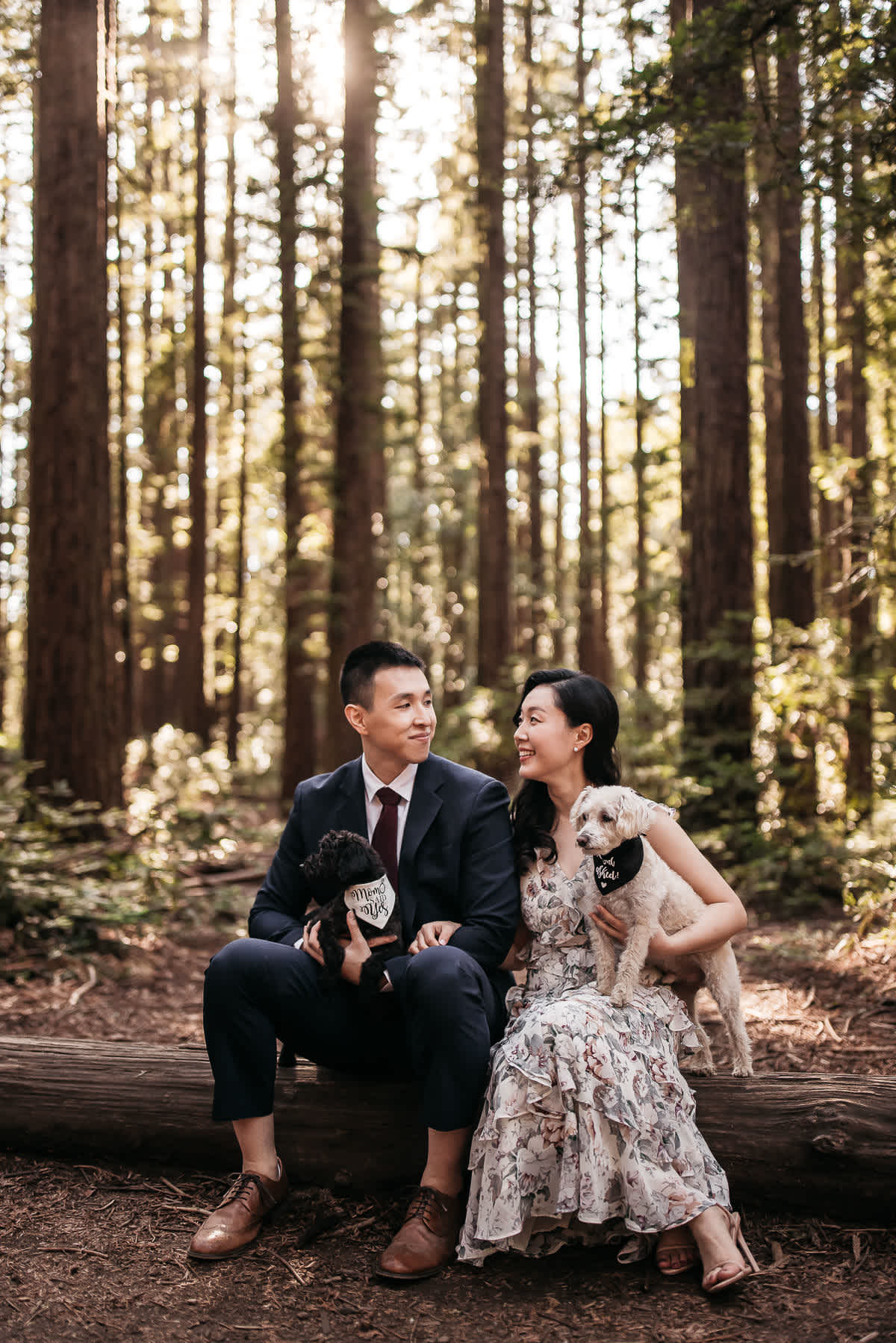redwoods-coastal-pampas-grass-lifestyle-engagement-session-with-pups-3