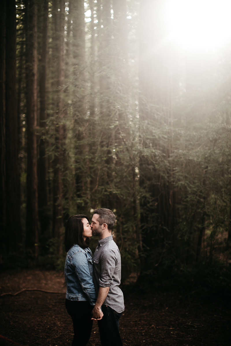 oakland-gloomy-redwood-engagement-session-with-puppy-5