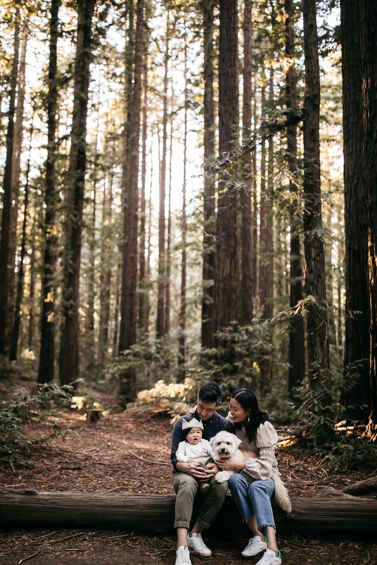 oakland-redwoods-lifestyle-first-birthday-session-3