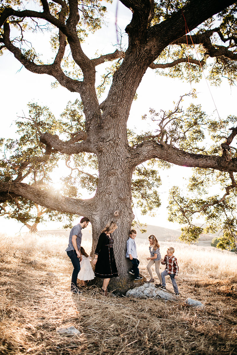 concord-golden-hill-california-fall-lifestyle-session-4