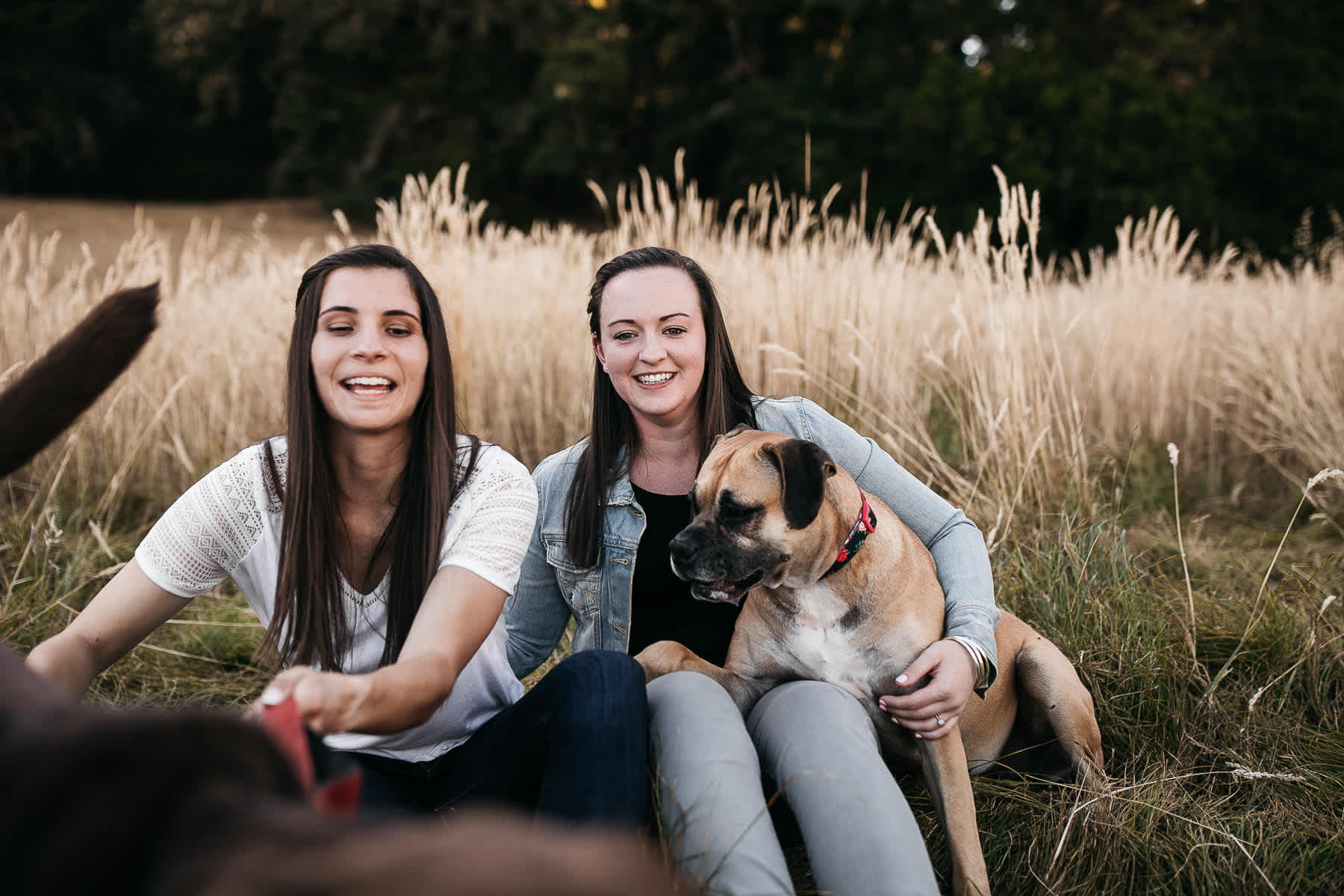 mt-tam-sunset-engagement-session-with-boxer-lab-dogs-3