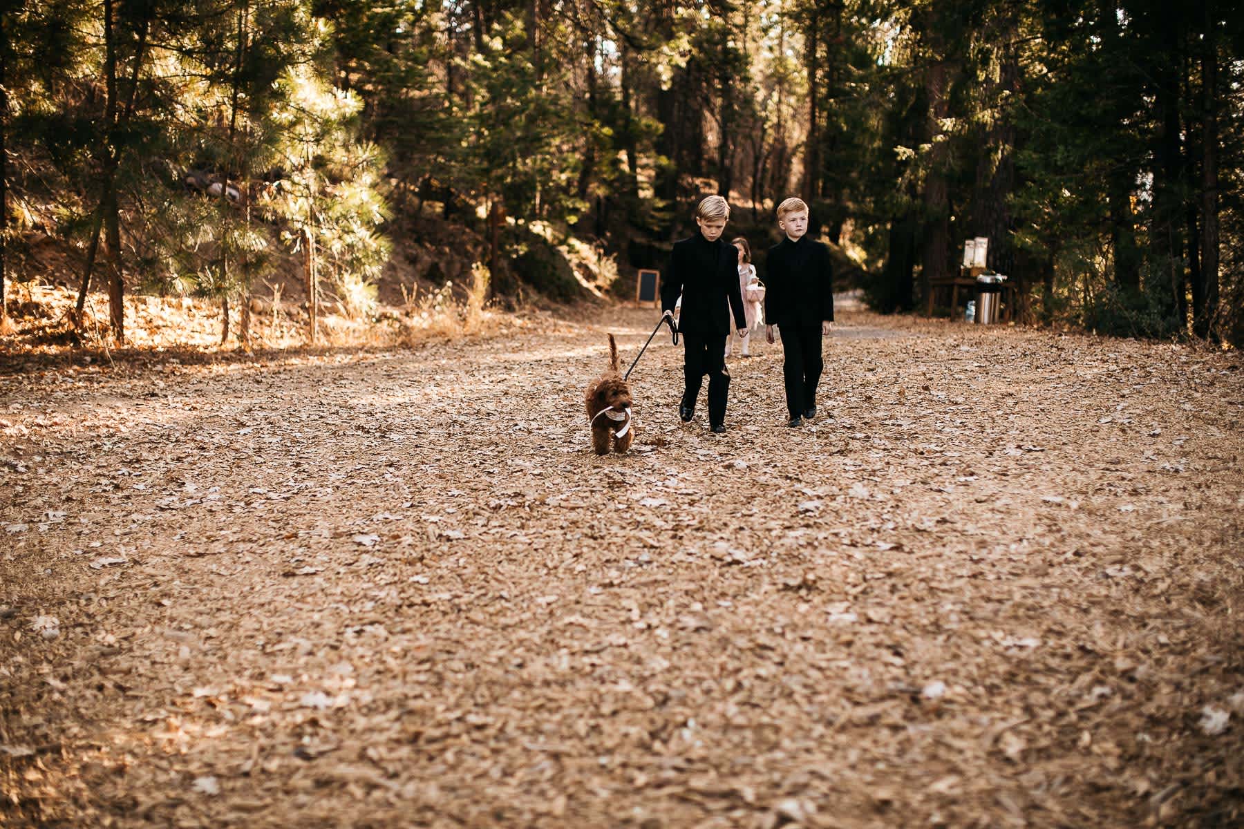 yosemite-rush-creek-fall-wedding-goldendoodle-36