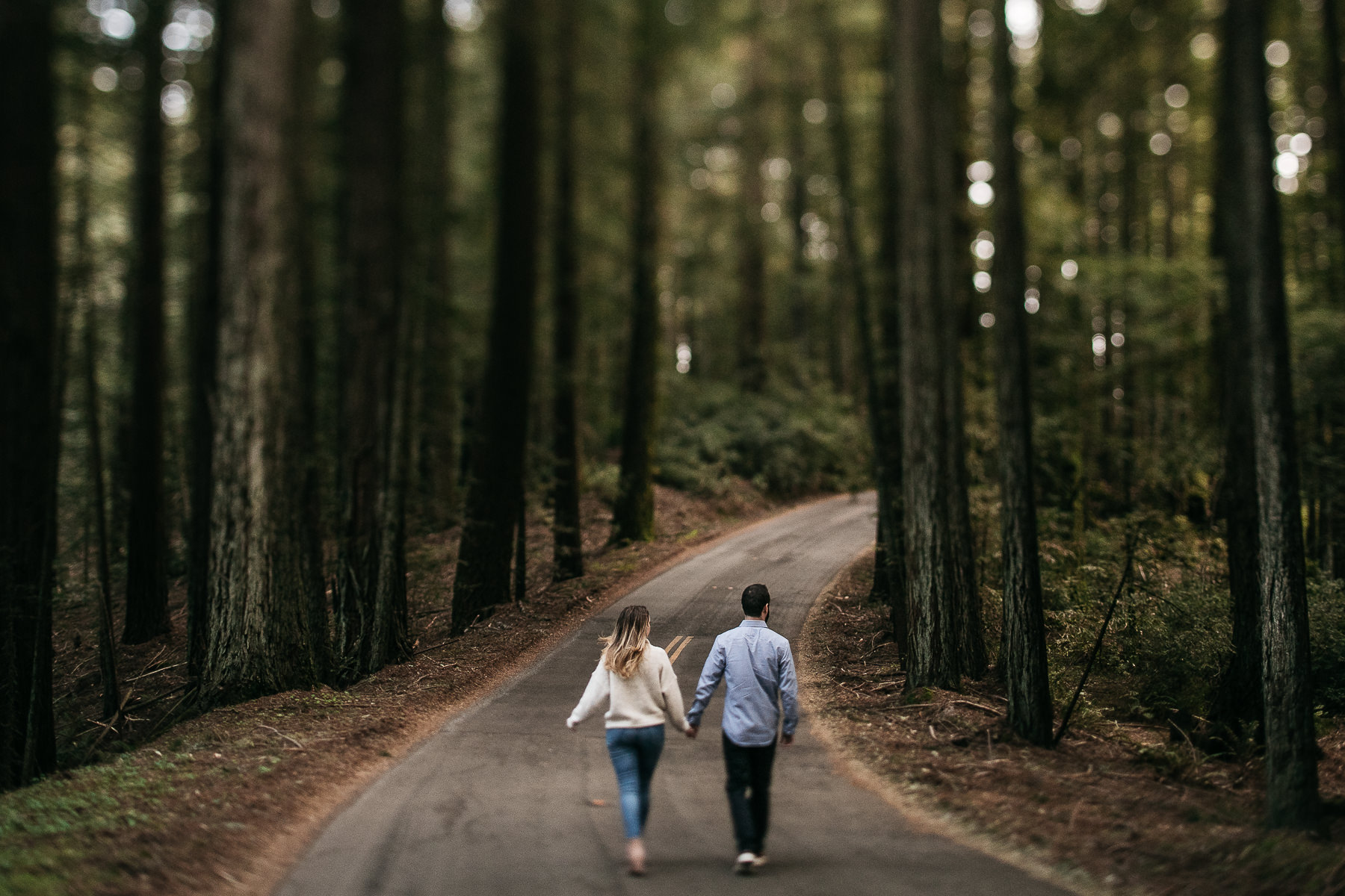 mt-tam-foggy-winter-engagement-session-australian-shepherd-puppy-12