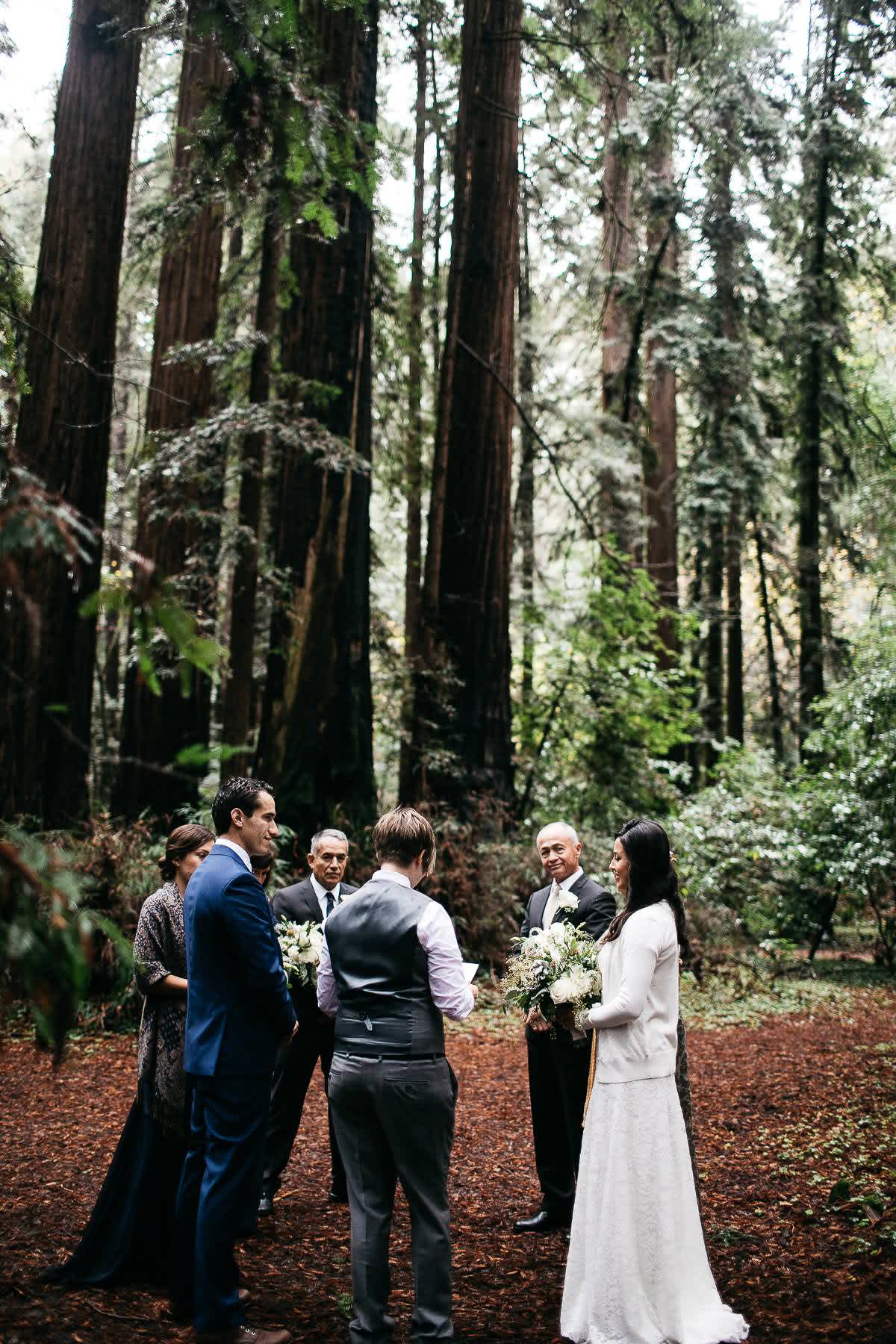 santa-cruz-redwoods-henry-cowell-rainy-elopement-photographer-5