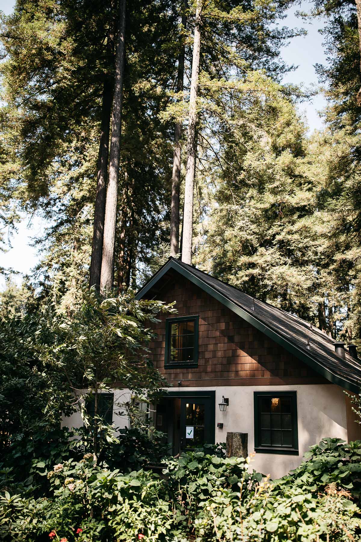 nestldown-micro-wedding-elopement-santa-cruz-sunset-12