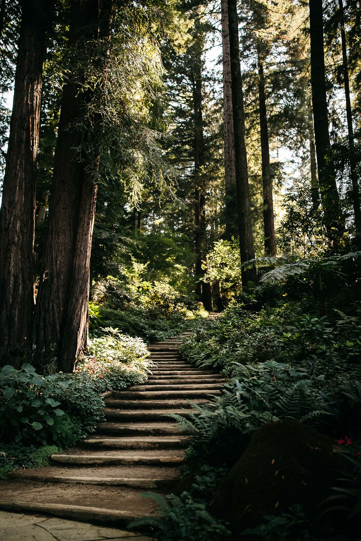 nestldown-micro-wedding-elopement-santa-cruz-sunset-35
