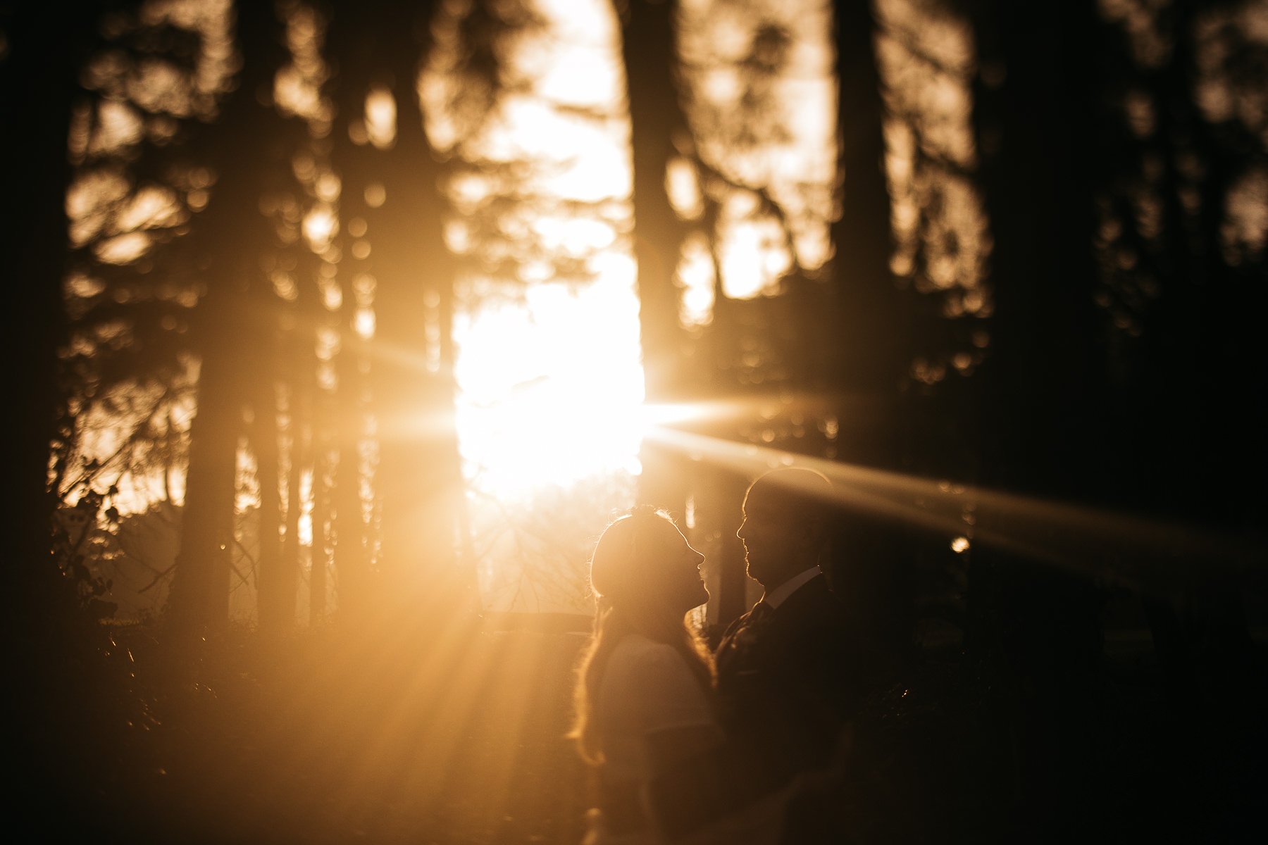 golden-gate-park-celebratory-garden-micro-wedding-elopement-65