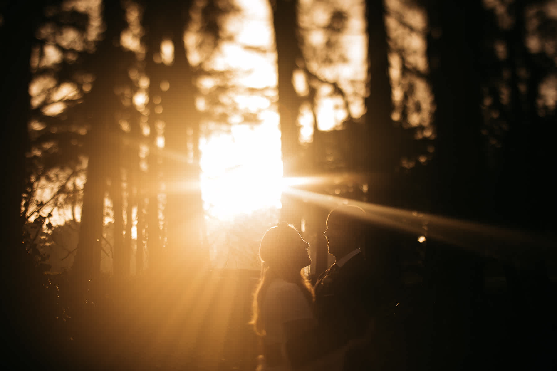 golden-gate-park-celebratory-garden-micro-wedding-elopement-65