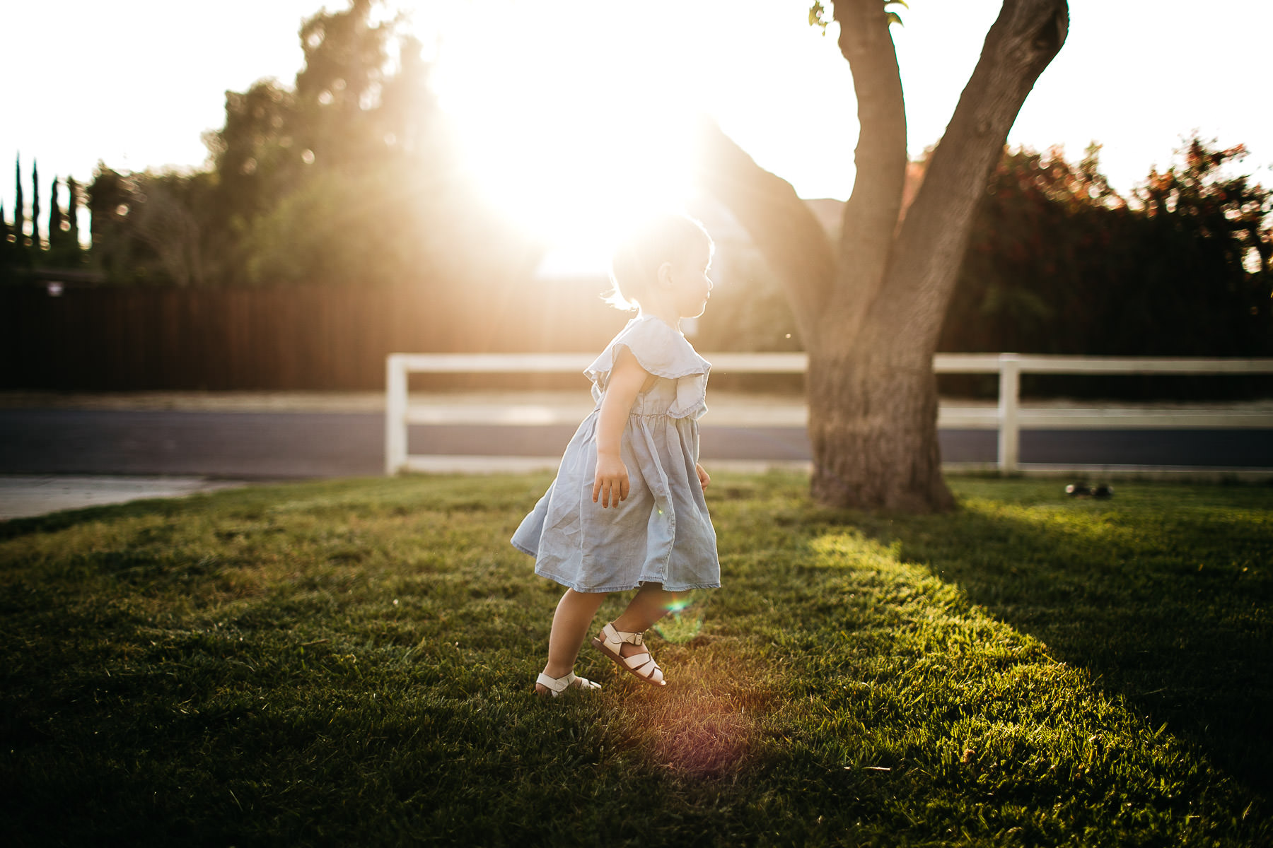 lime-ridge-concord-mustard-flower-vintage-car-lifestyle-family-session-12