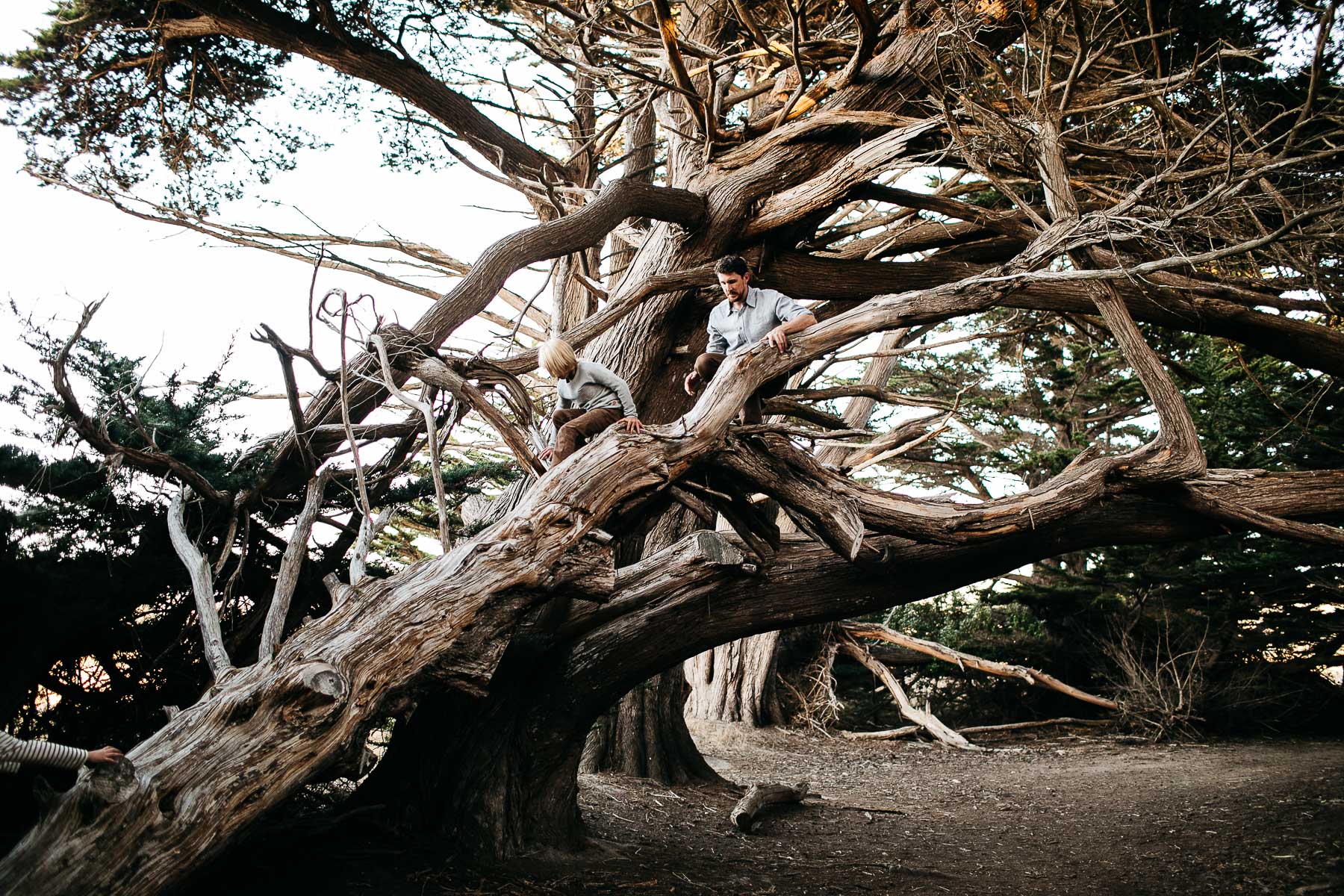 half-moon-bay-golden-cliffside-family-session-27
