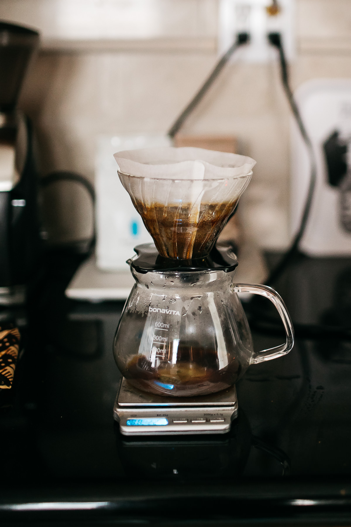 richmond-ca-family-session-cattledog-neighborhood-24