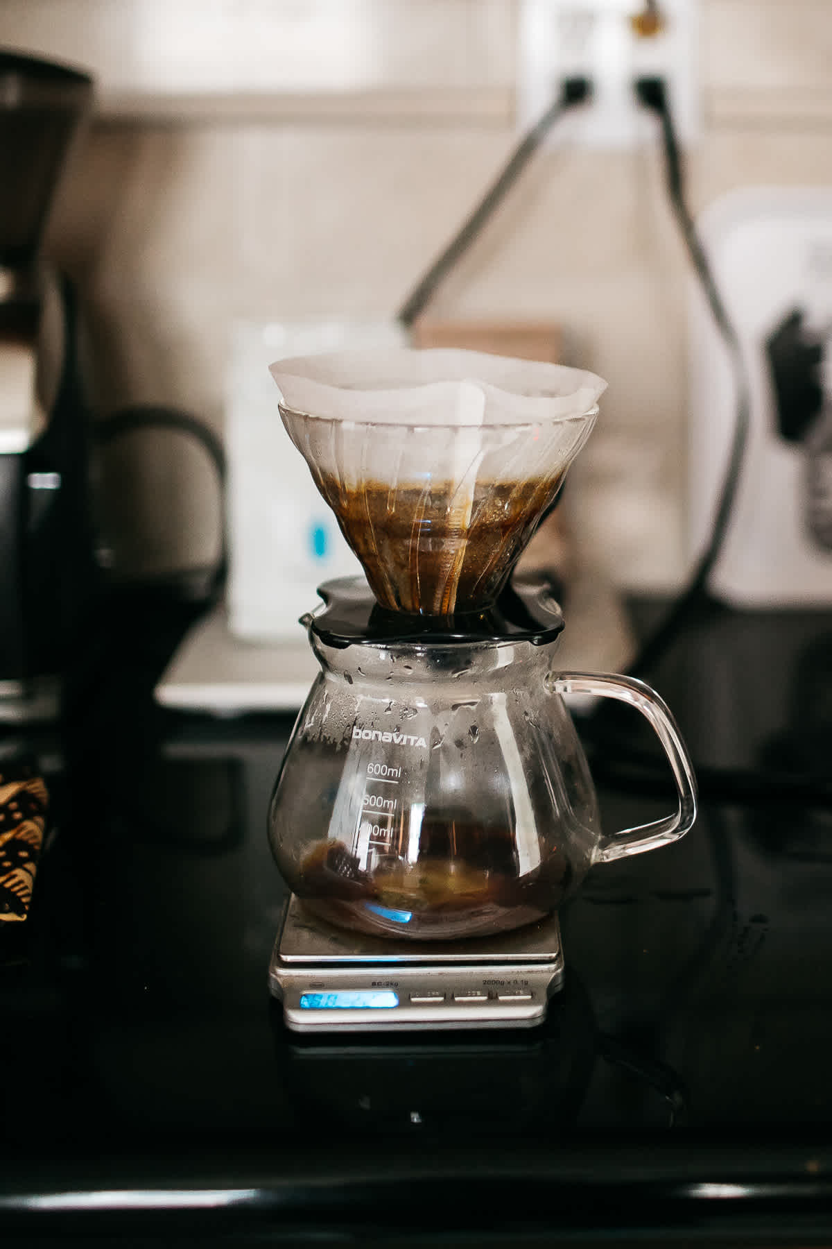 richmond-ca-family-session-cattledog-neighborhood-24