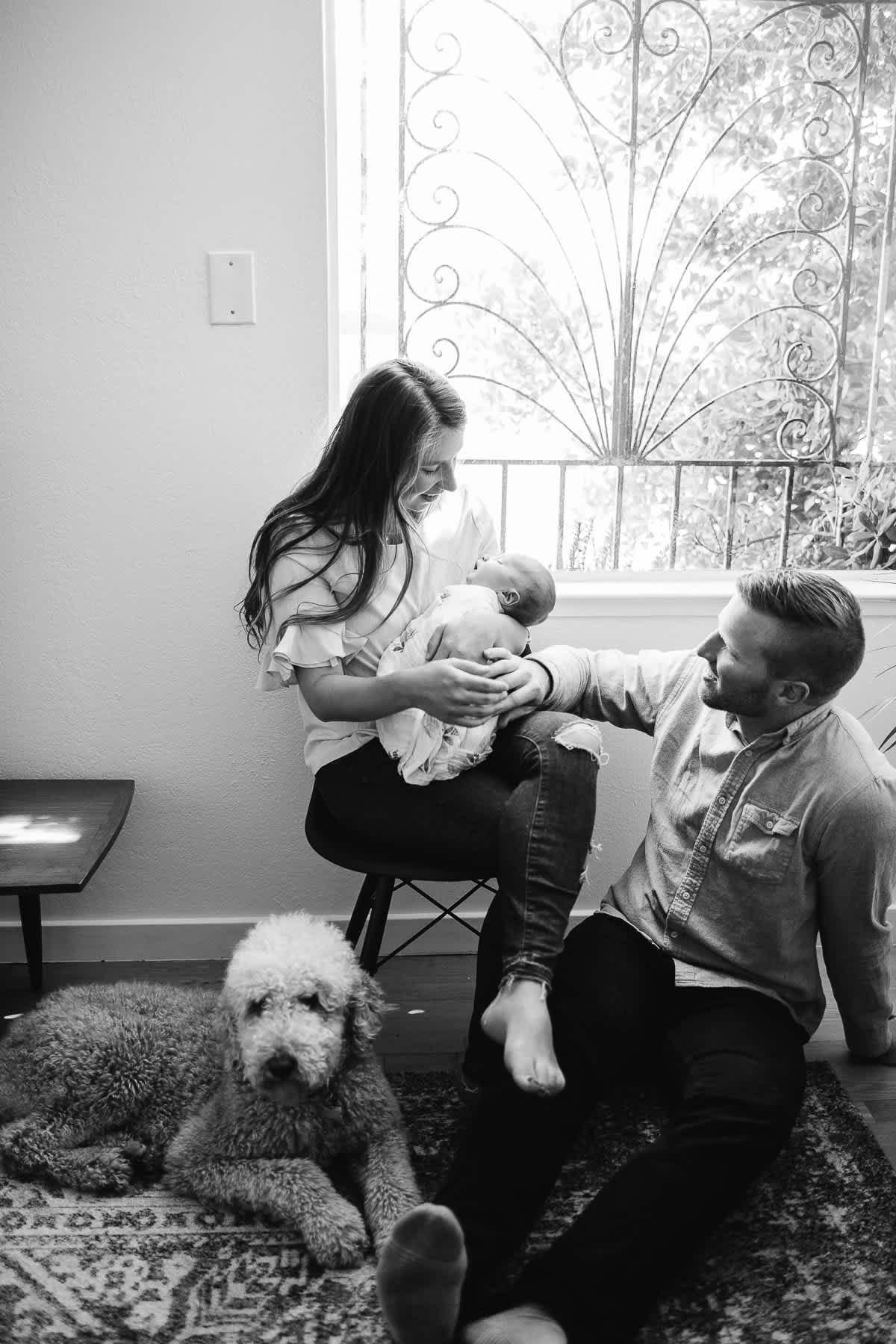 san-francisco-lifestyle-in-home-newborn-with-dog-42