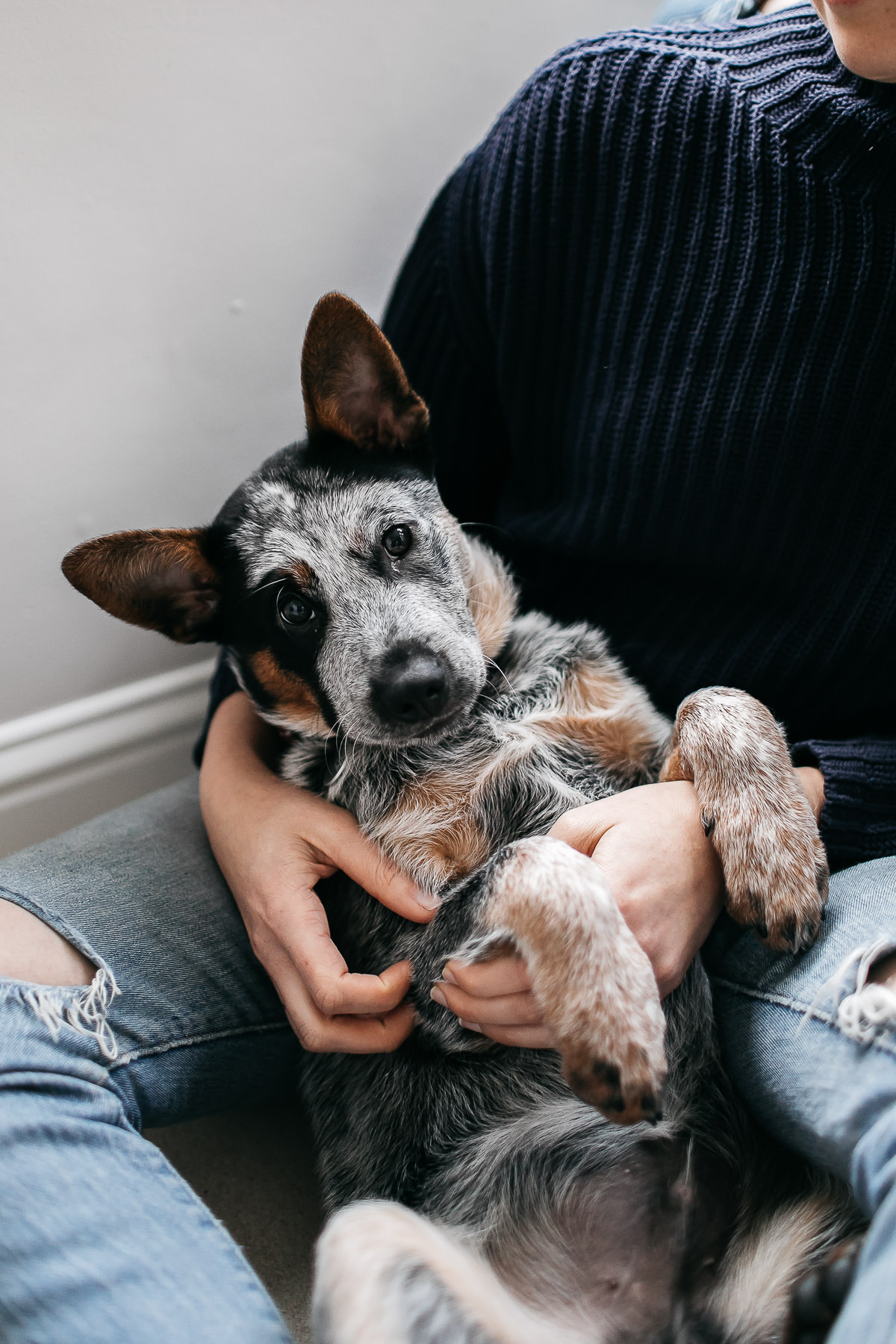 richmond-ca-family-session-cattledog-neighborhood-33