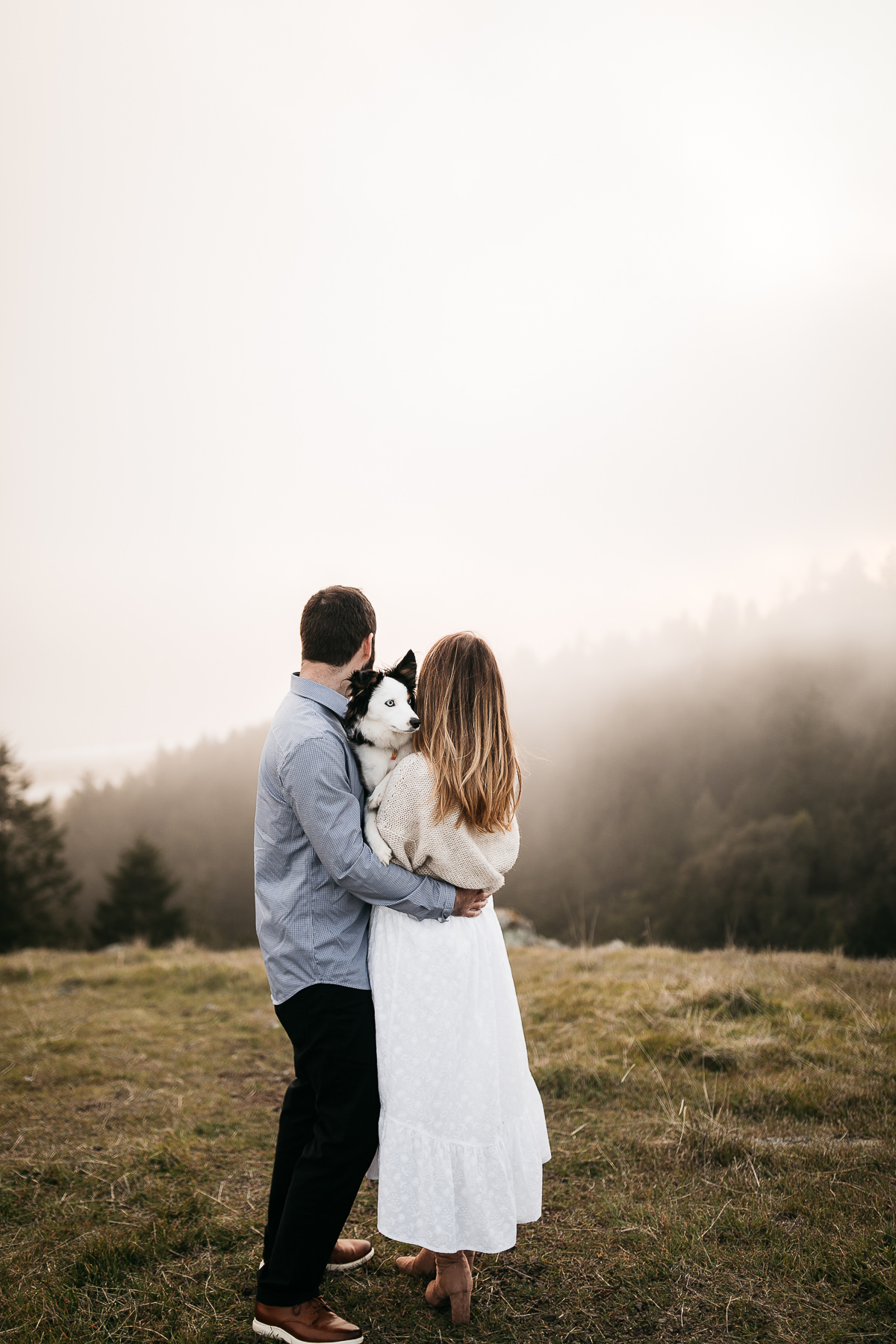 mt-tam-foggy-winter-engagement-session-australian-shepherd-puppy-29