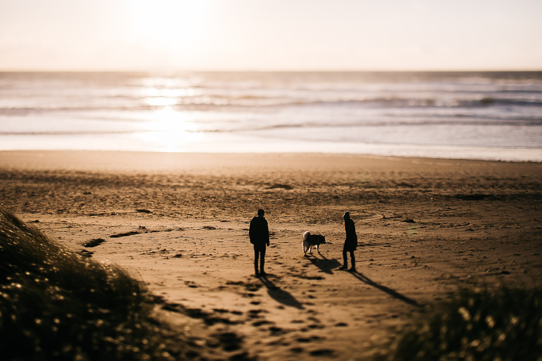 ocean-beach-sf-malamute-couple-session-golden-light-2