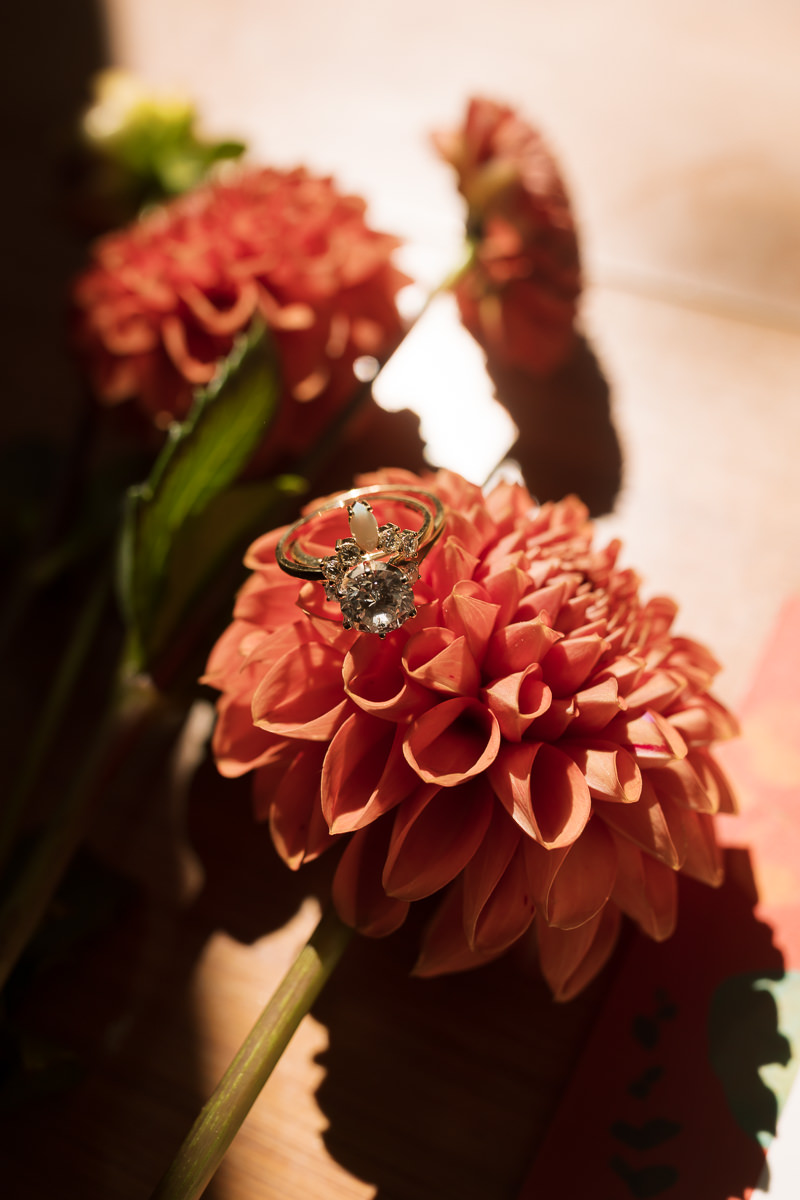 Monkey-ranch-petaluma-golden-hills-wedding-10