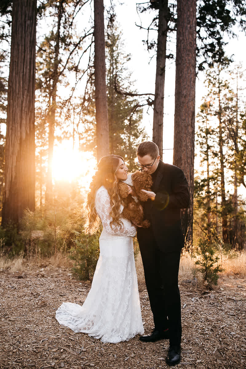 yosemite-rush-creek-fall-wedding-goldendoodle-74