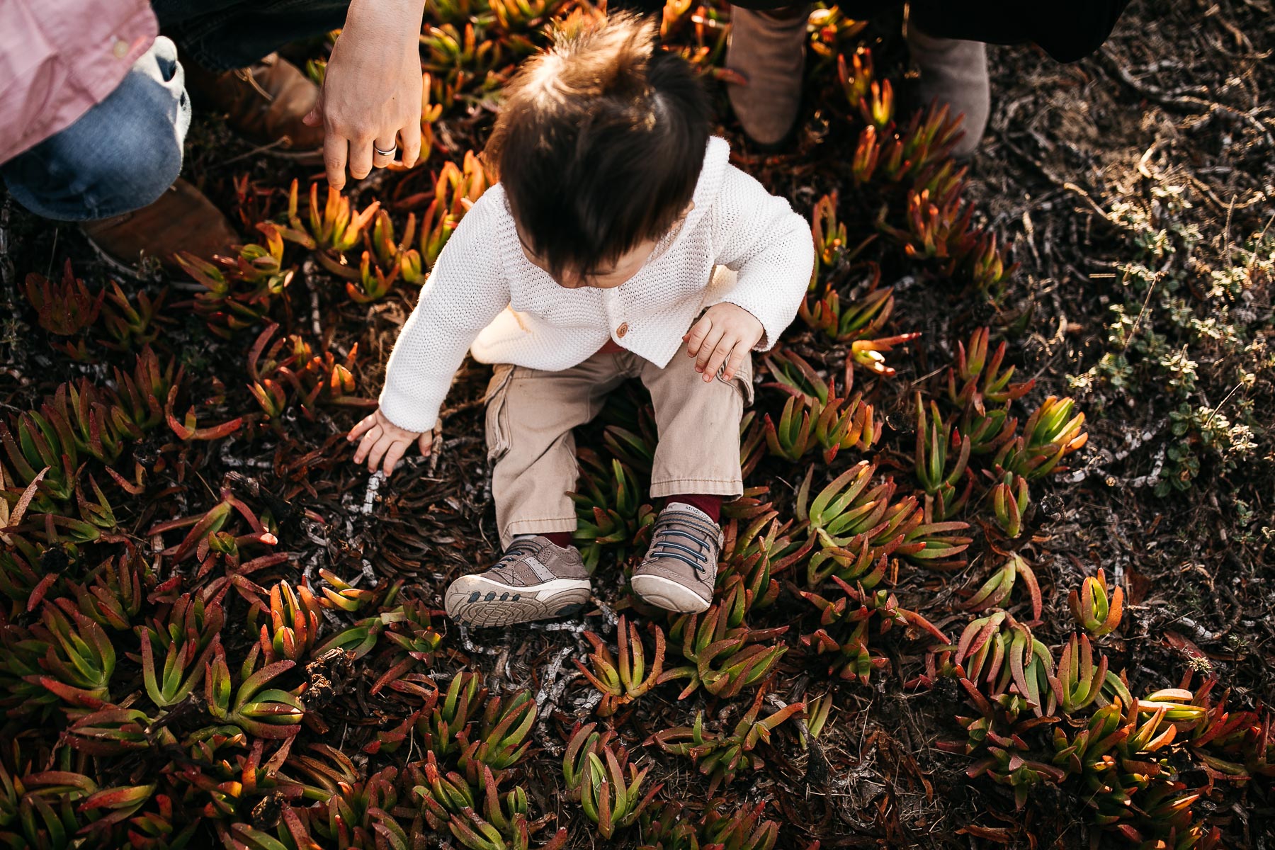 fort-funston-golden-light-winter-family-session-one-year-old-18