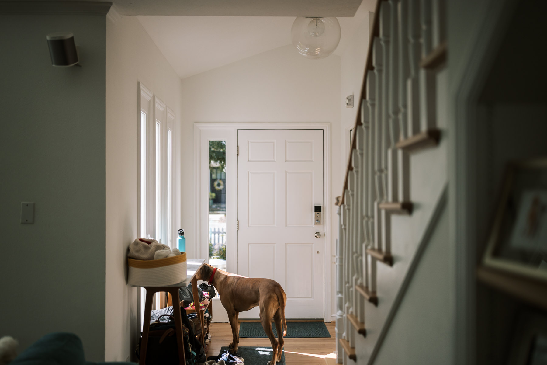 bay-area-in-home-lifestyle-newborn-session-61