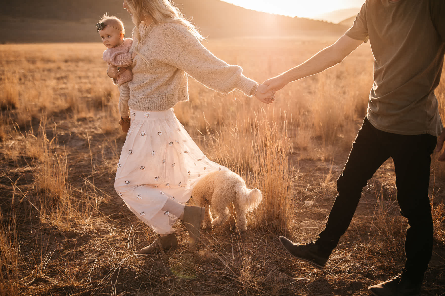 golden-hills-sunset-lifestyle-session-family-with-goldendoodle-8