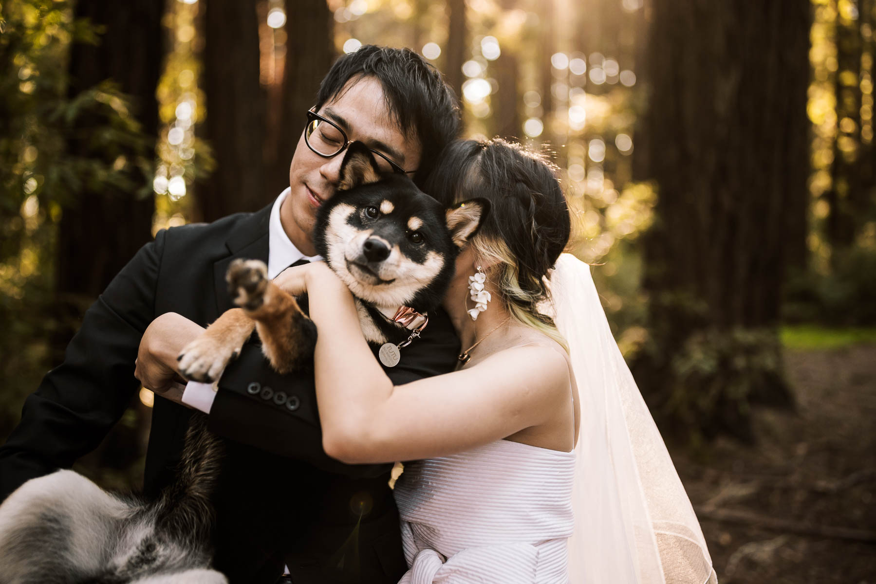 sf-city-hall-redwoods-elopement-shiba-74