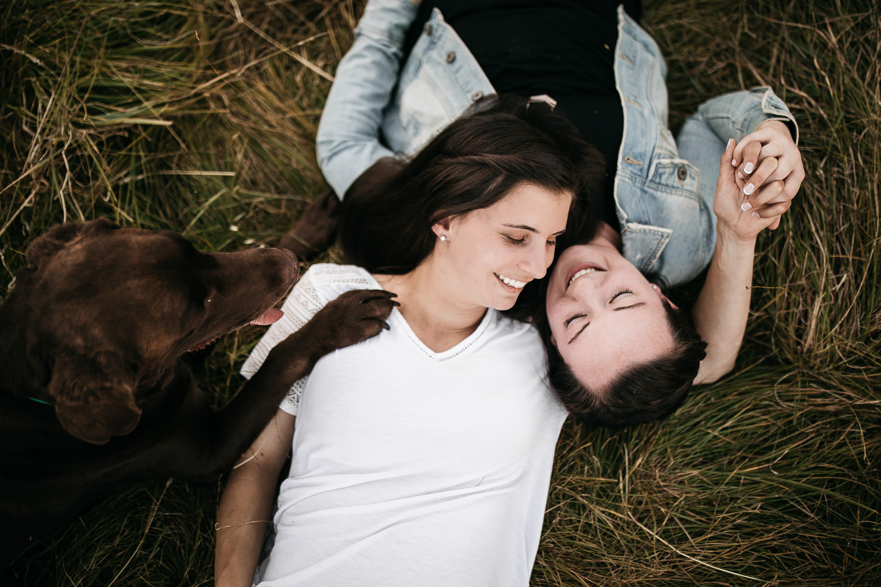 mt-tam-sunset-engagement-session-with-boxer-lab-dogs-14