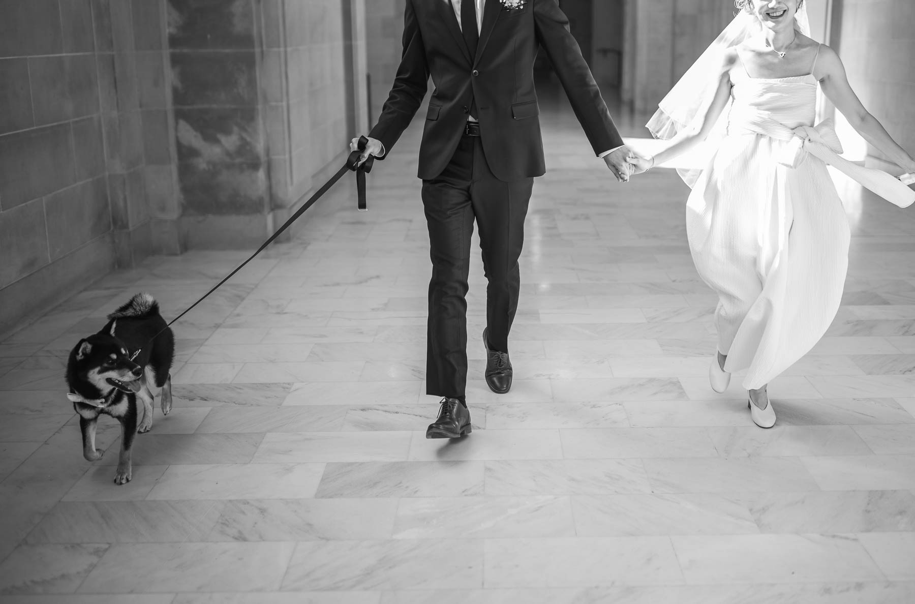 sf-city-hall-redwoods-elopement-shiba-36