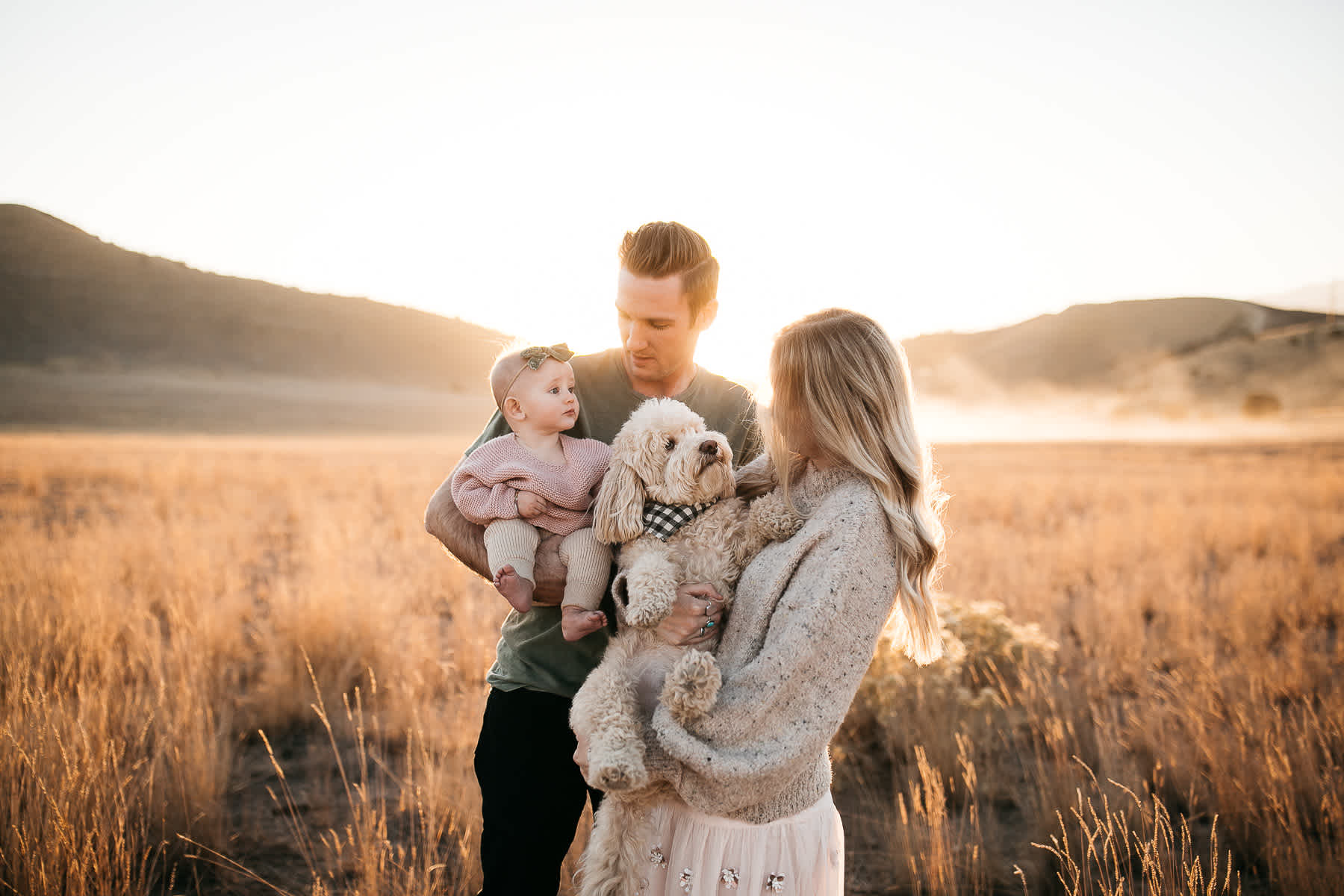 golden-hills-sunset-lifestyle-session-family-with-goldendoodle-35