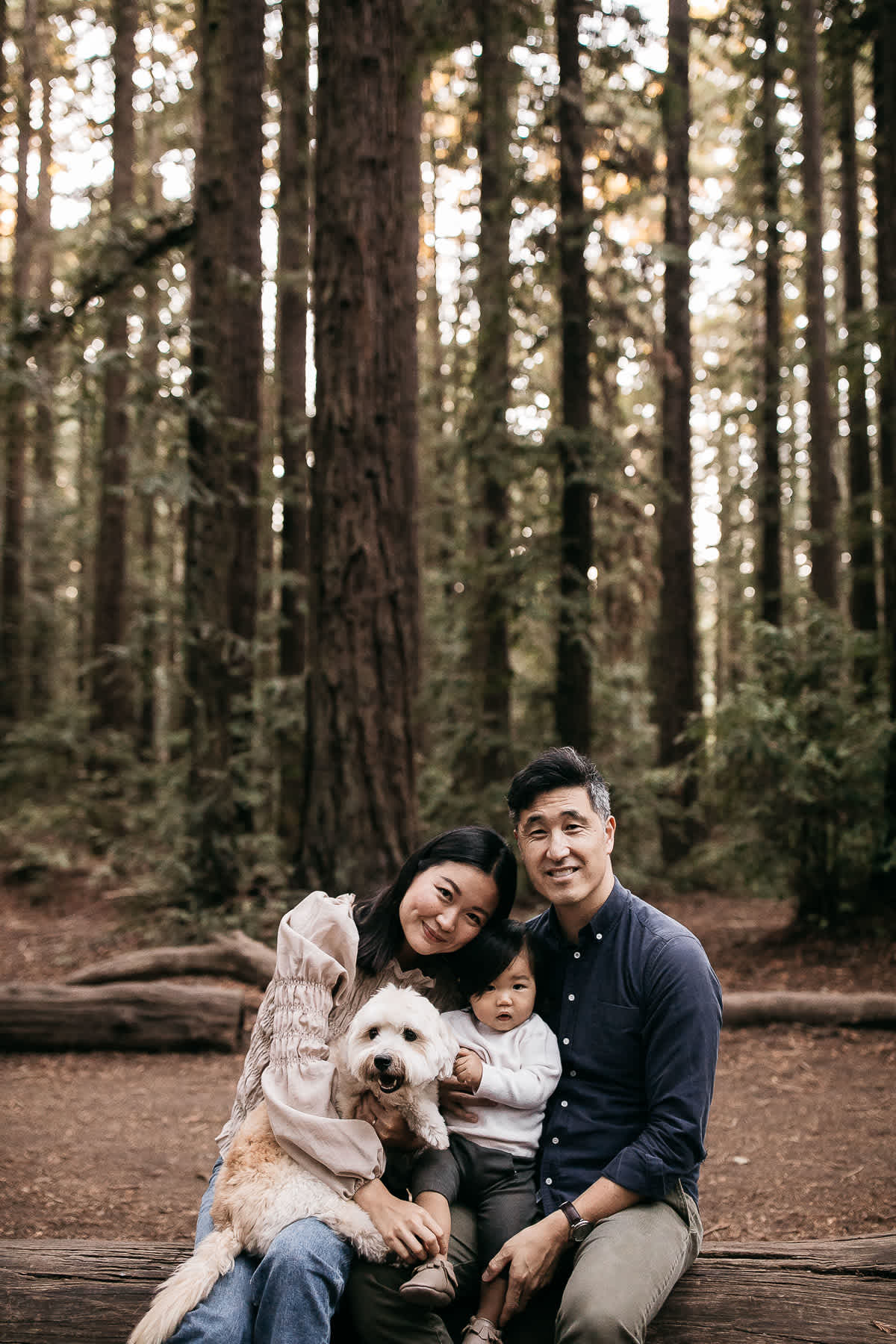 oakland-redwoods-lifestyle-first-birthday-session-14