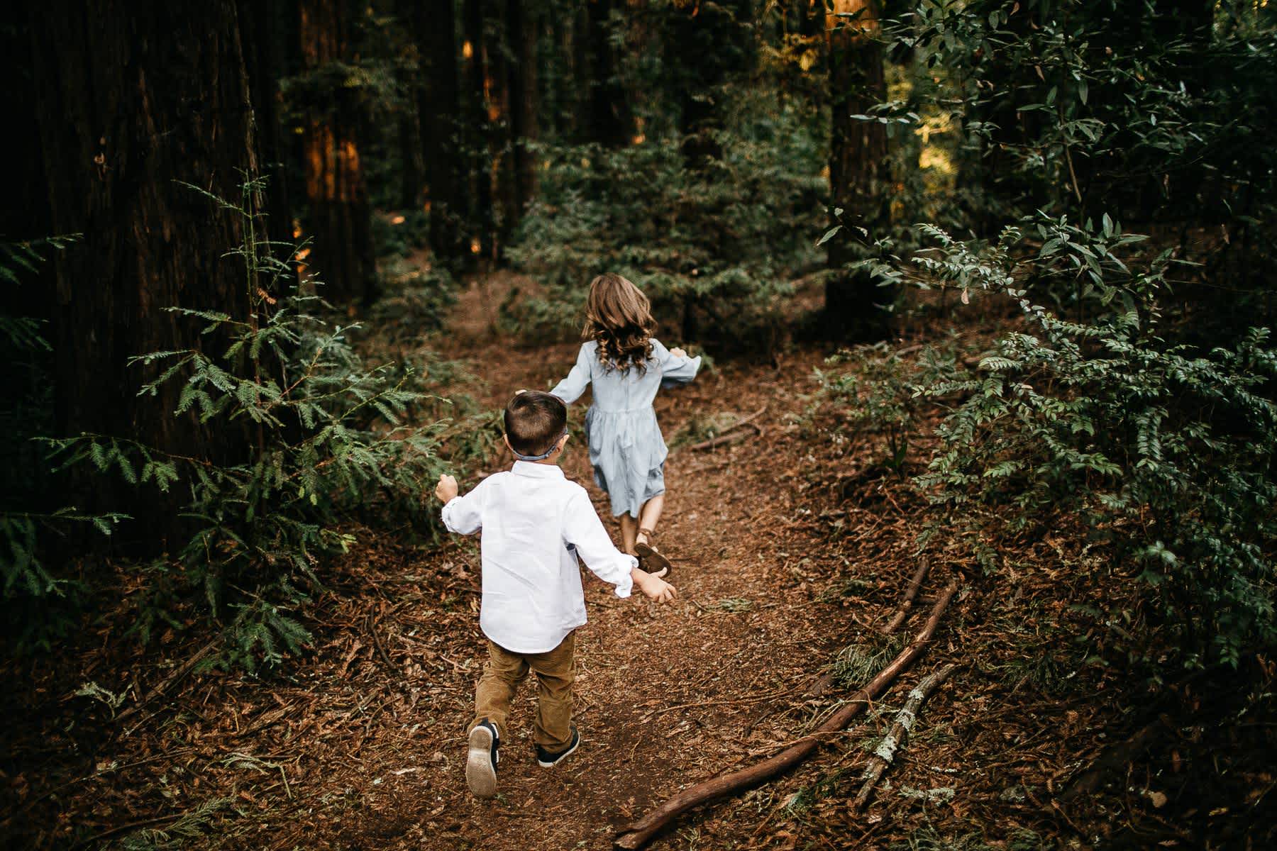 oakland-redwoods-morning-light-joaquin-miller-park-lifestyle-session-4