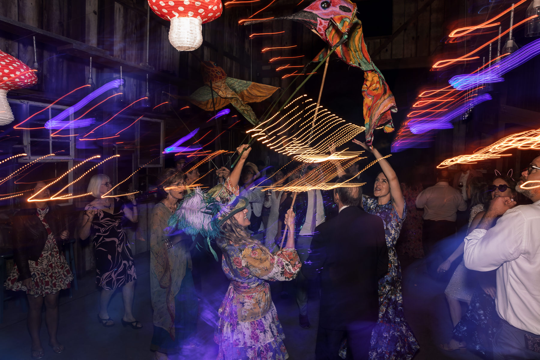 Monkey-ranch-petaluma-golden-hills-wedding-159