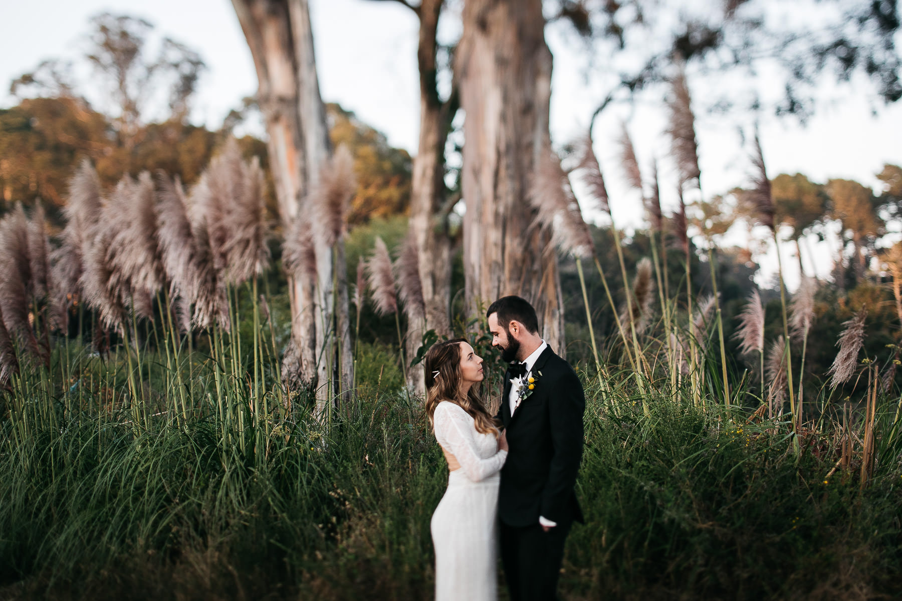 nestldown-micro-wedding-elopement-santa-cruz-sunset-116