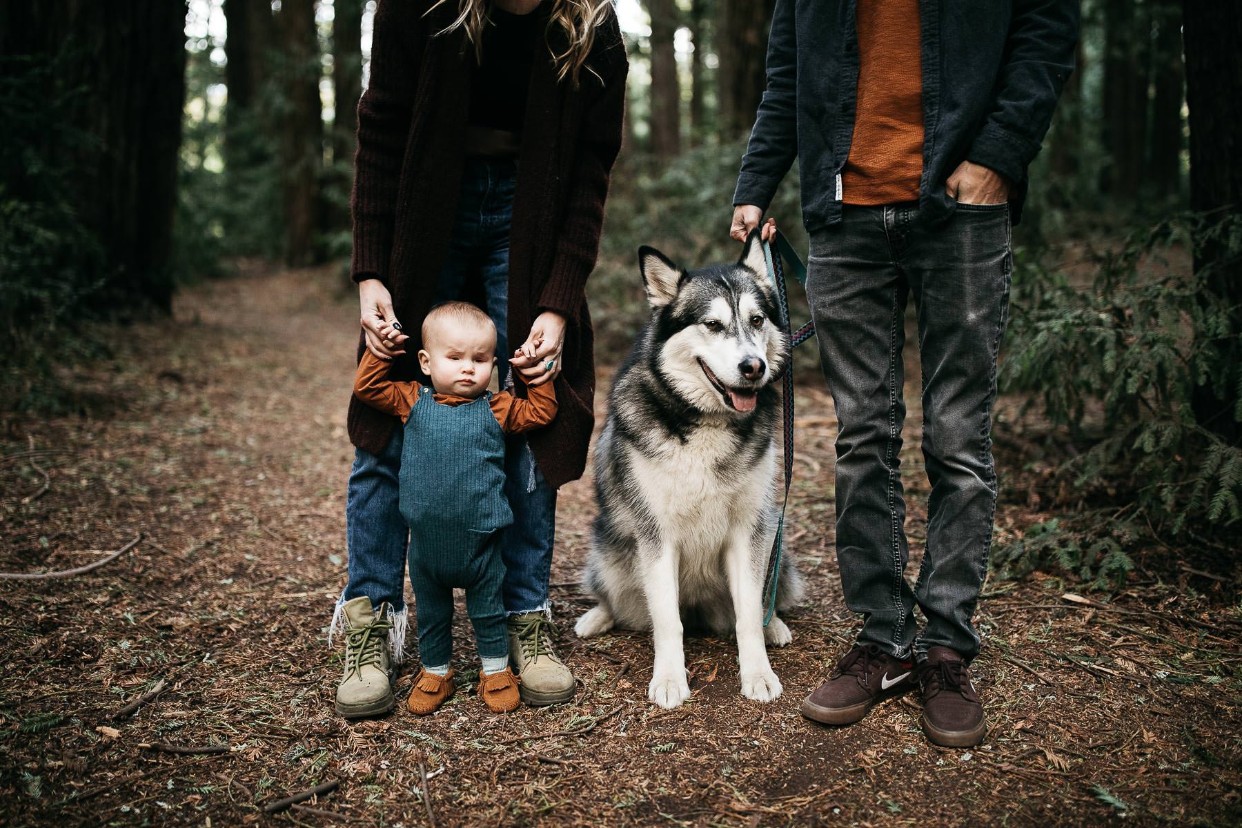 oakland-redwood-family-fall-session-joaquin-miller-park-4