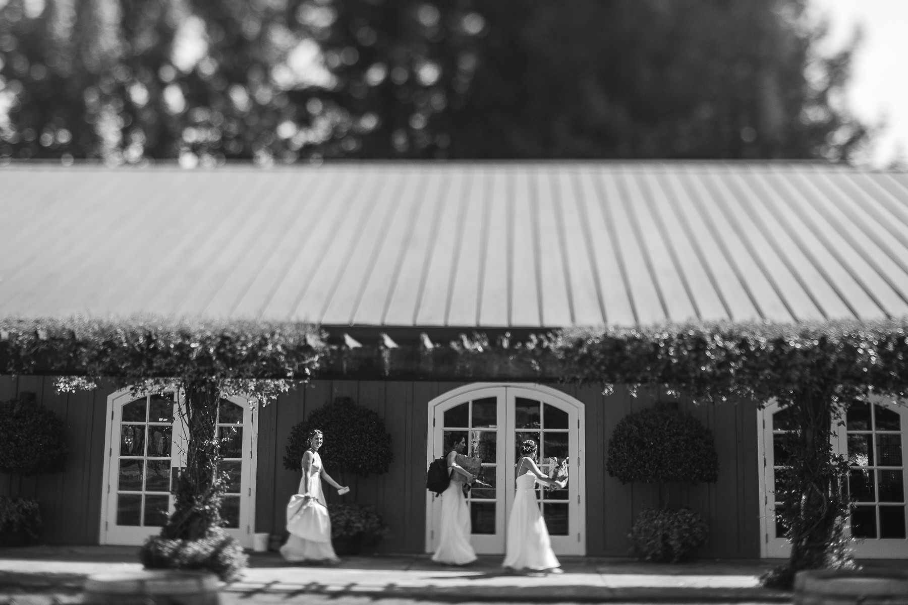 healdsburg-trentadue-winery-summer-wedding-7