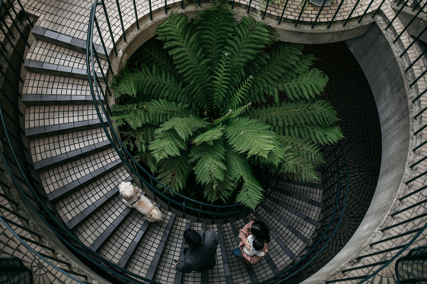 urban-family-session-downtown-san-francisco-embarcadero-18