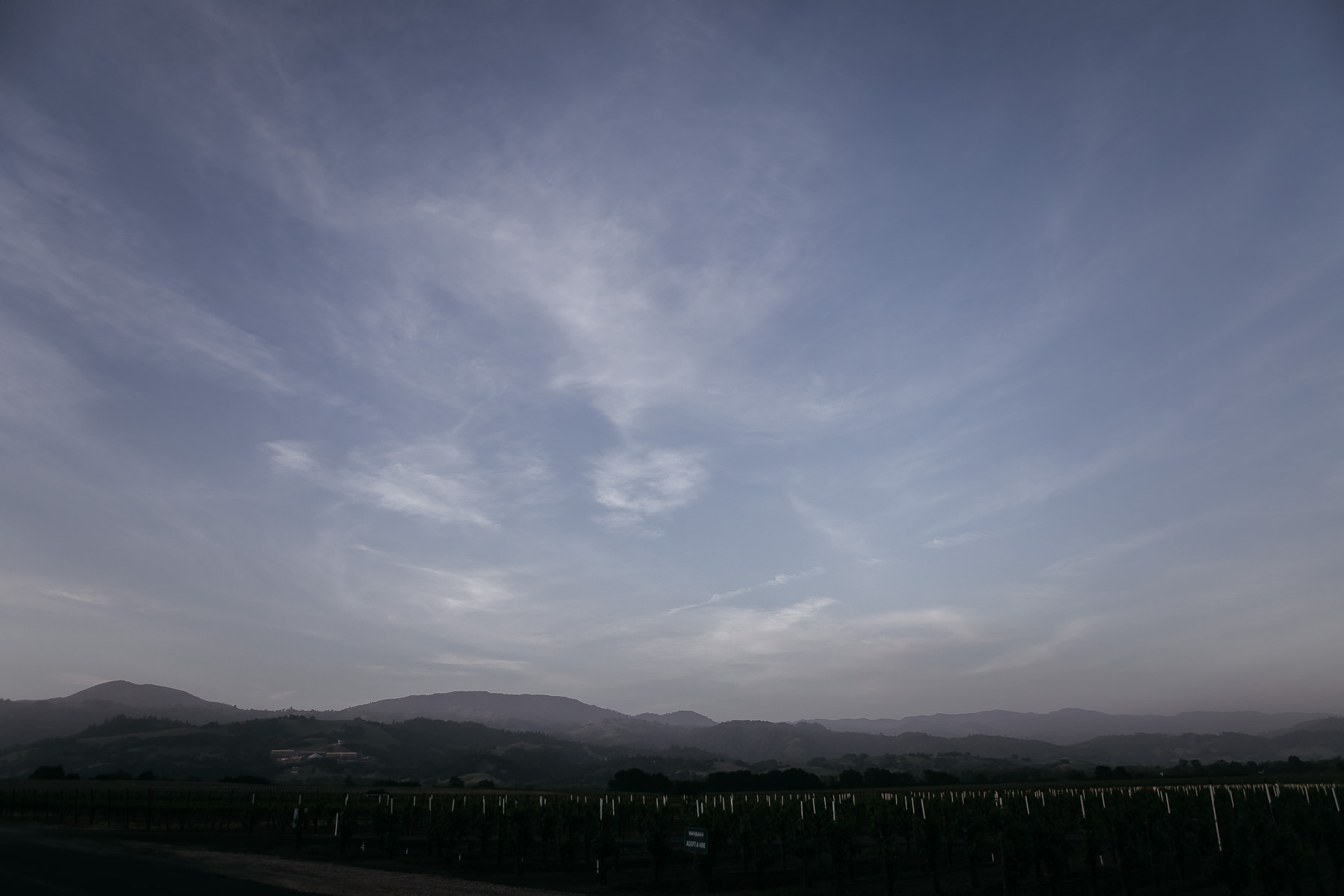 healdsburg-trentadue-winery-summer-wedding-72